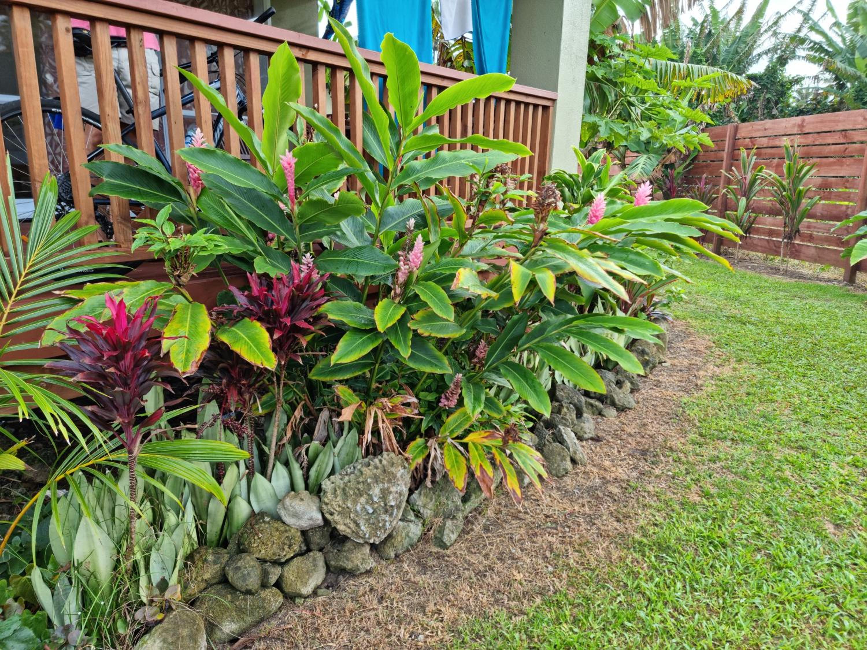 Dominic's Beach Bungalow