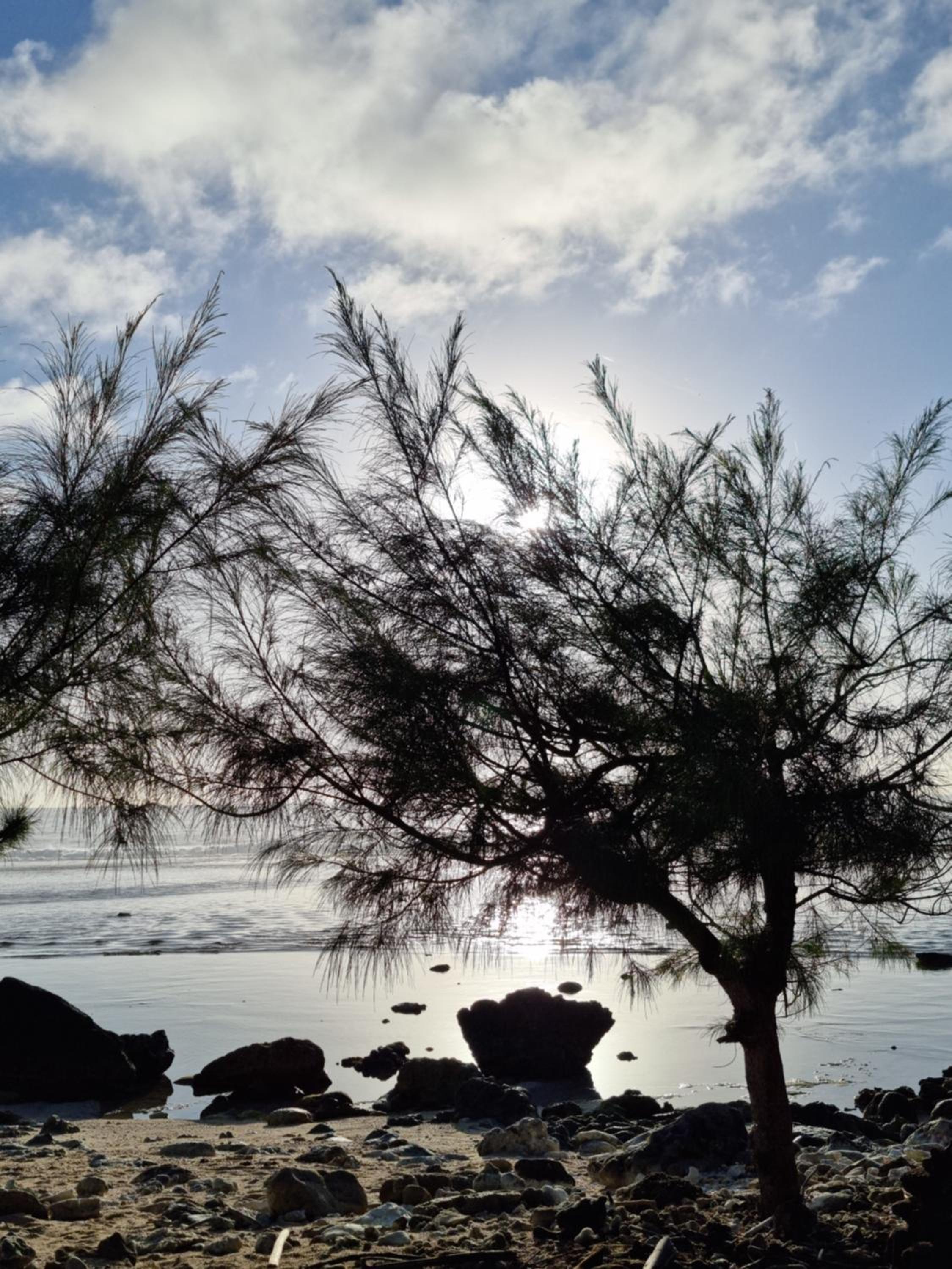 Dominic's Beach Bungalow