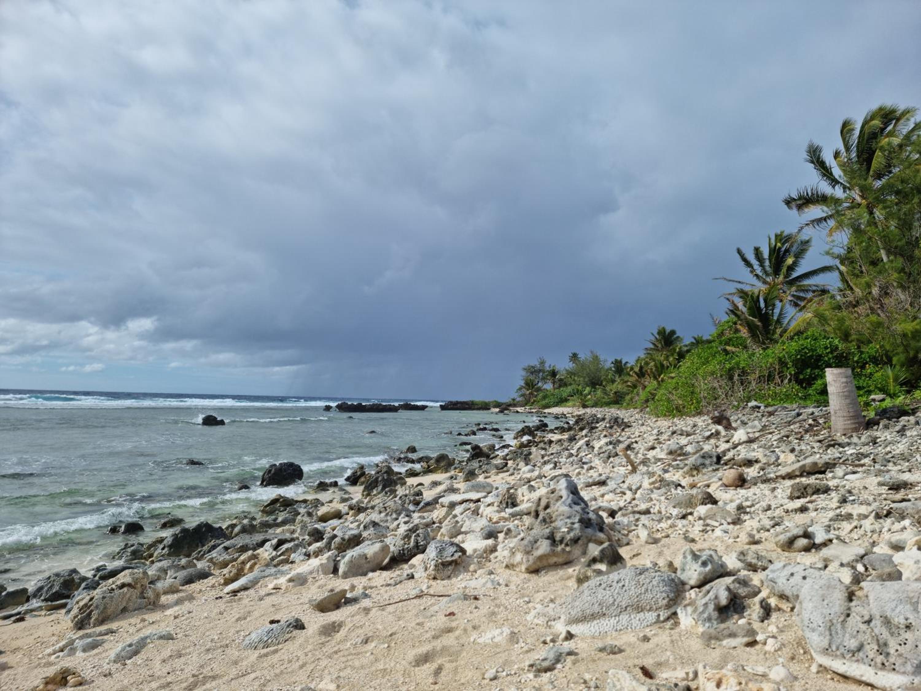 Dominic's Beach Bungalow