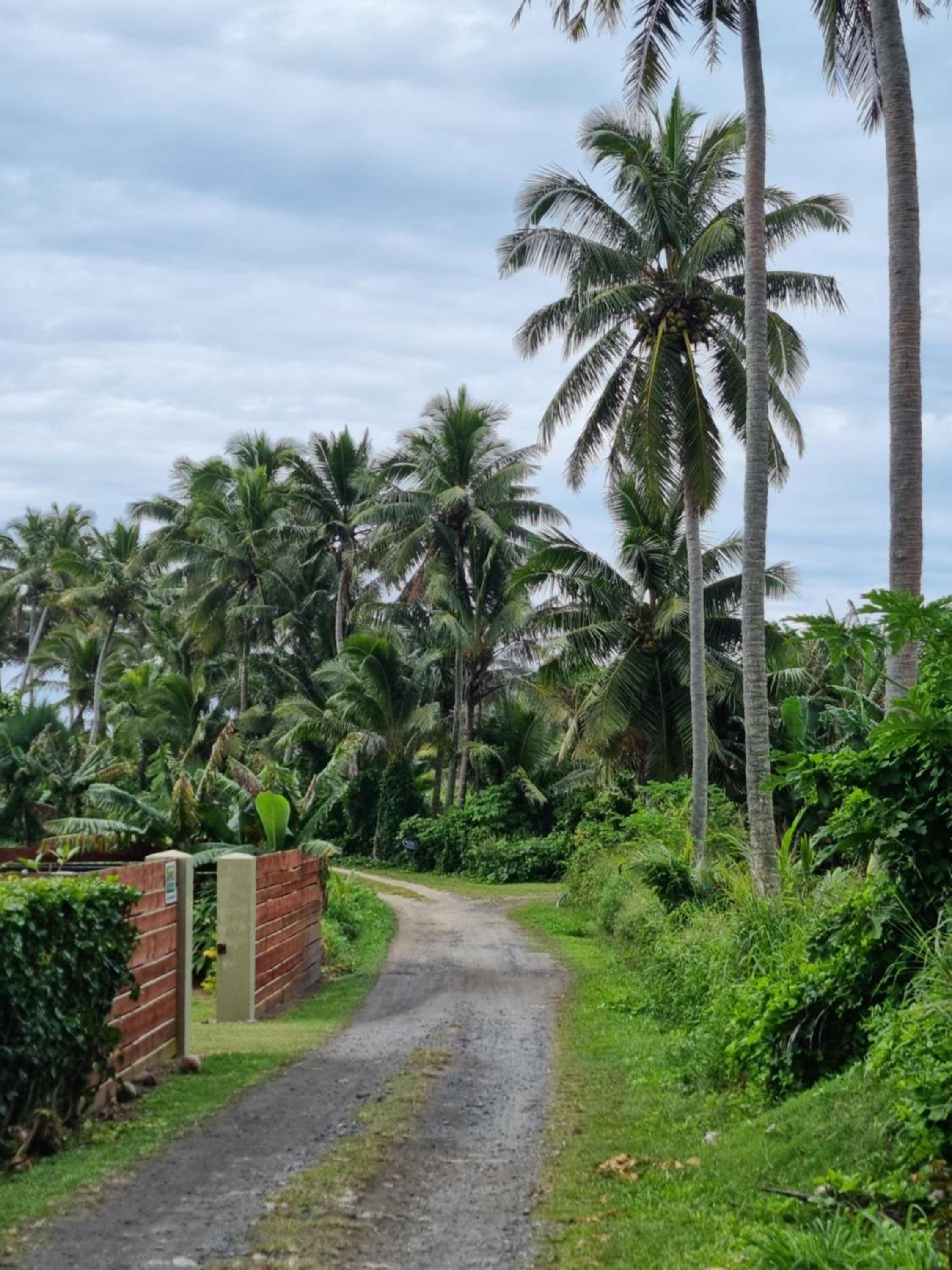 Dominic's Beach Bungalow