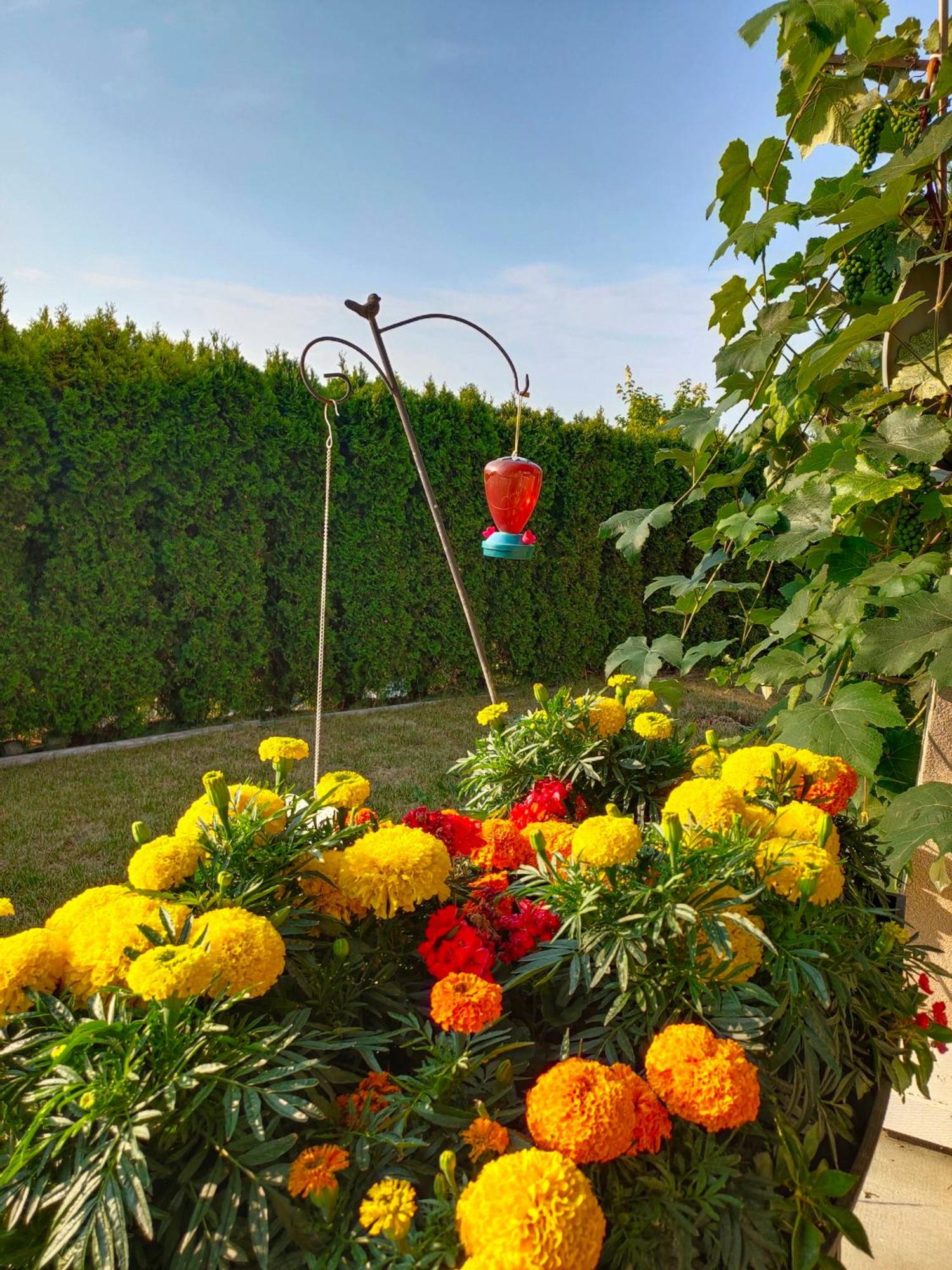 Green Leaf Home Stay