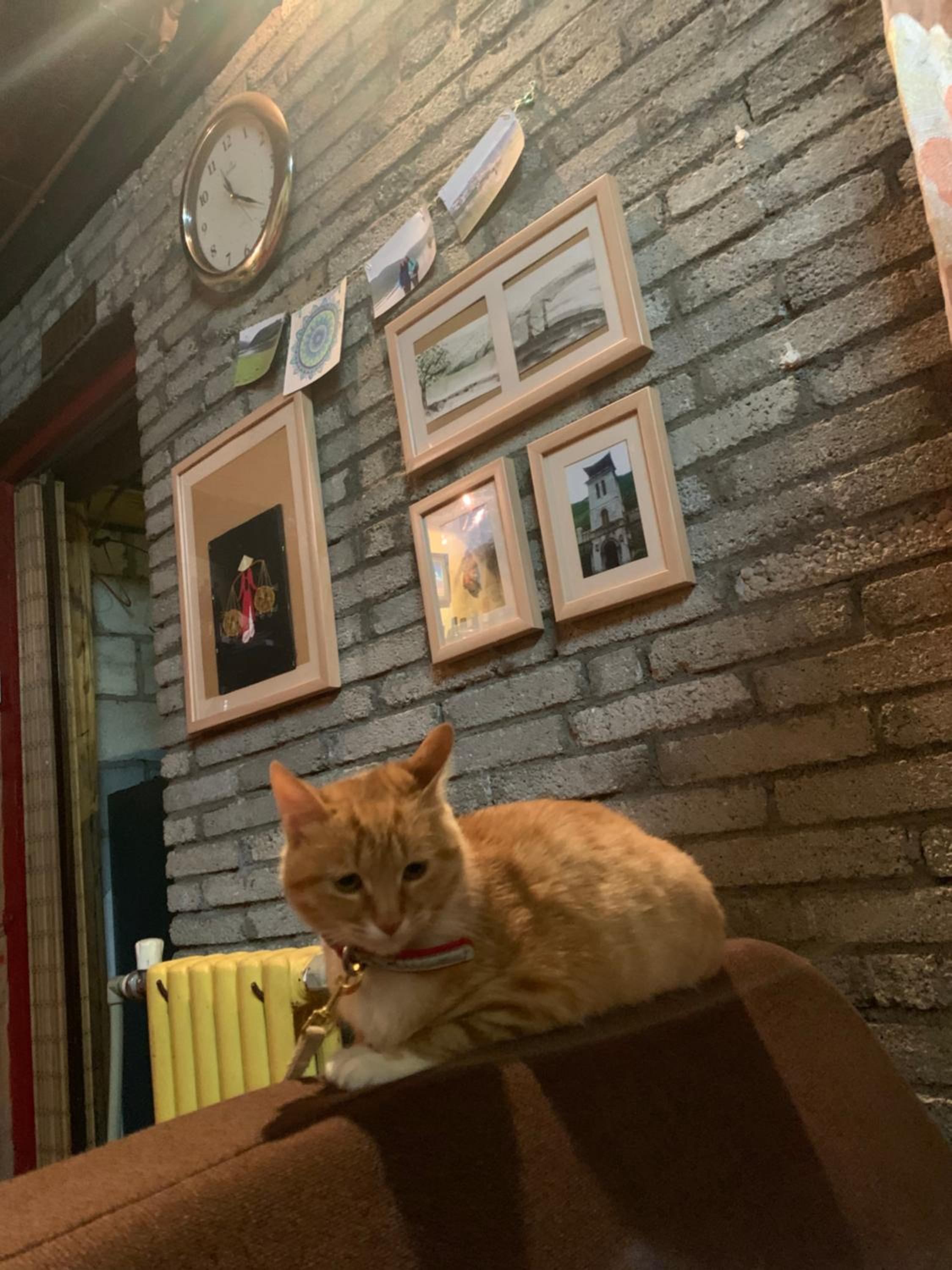 Kevin's Trekker Inn
