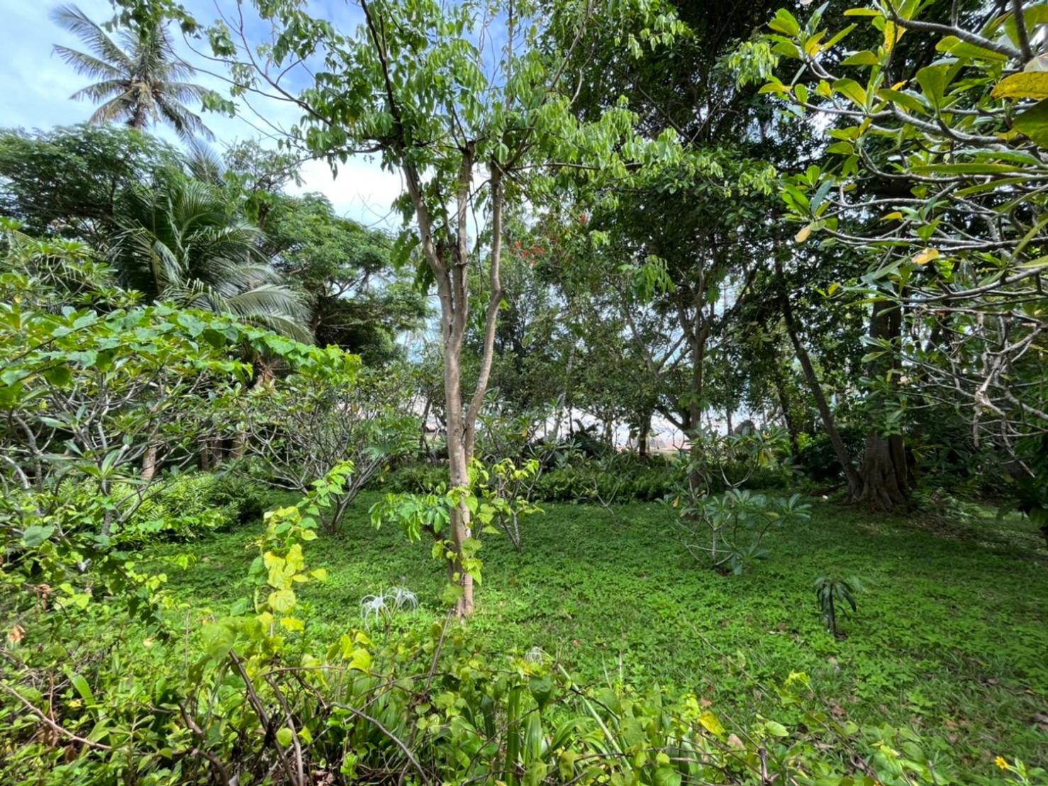 Koh Tao Cabana