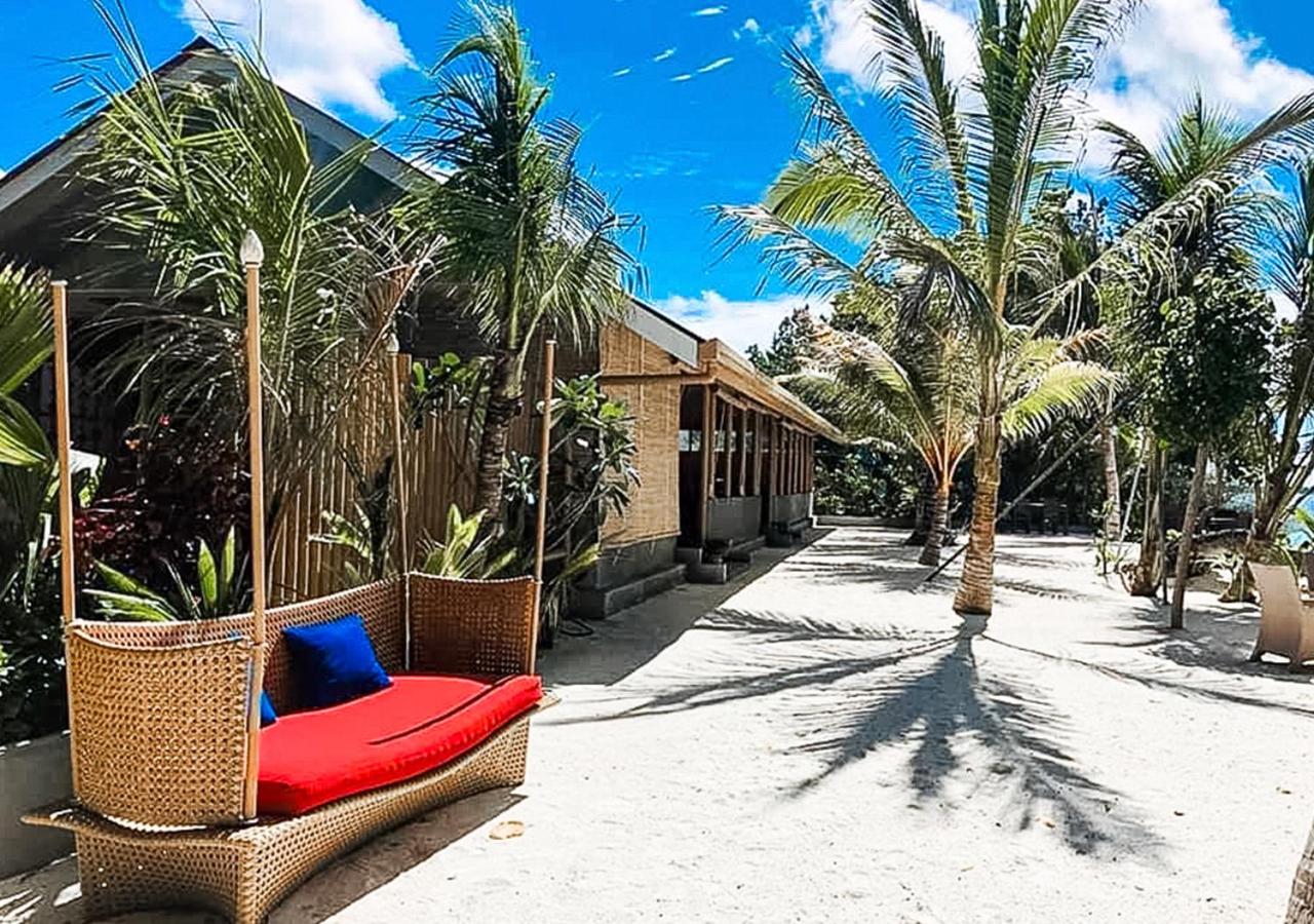 Tropical Tree photo 2