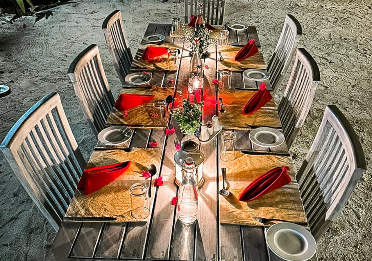 Tropical Tree photo 4