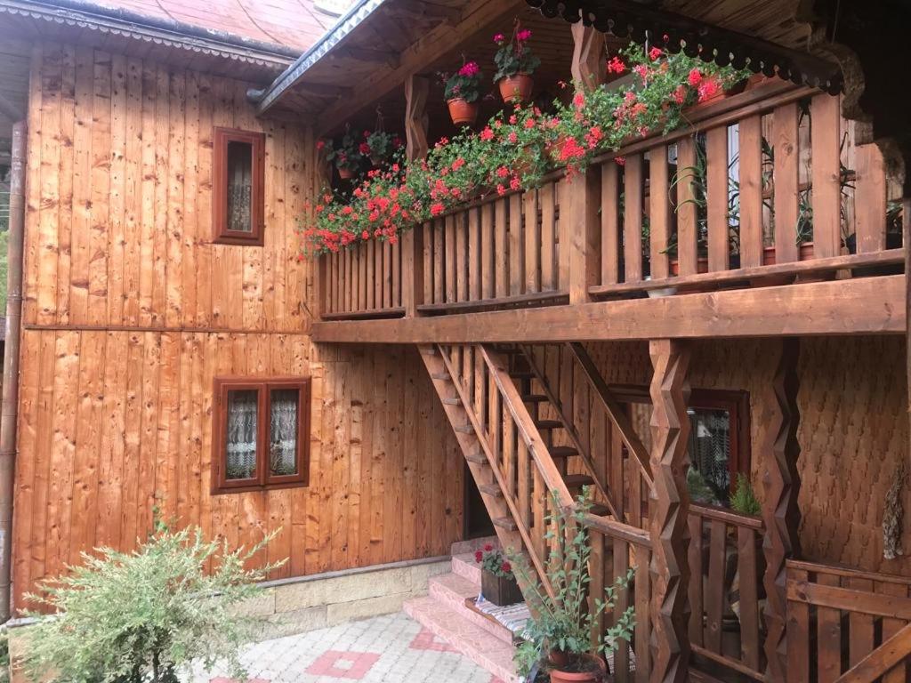 Pensiunea Agroturistica Casa Coliniţa view 2