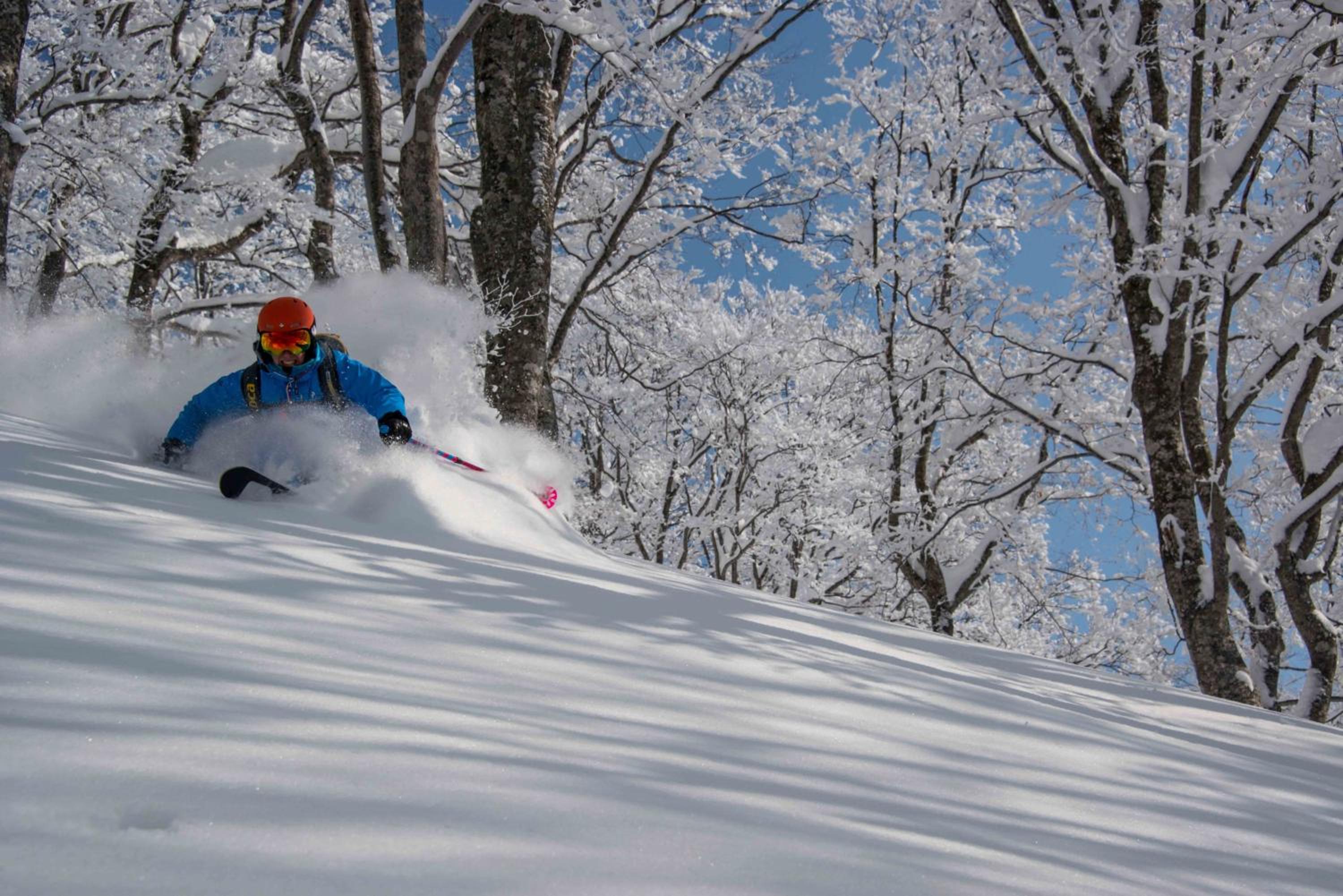 Morino Lodge - Myoko