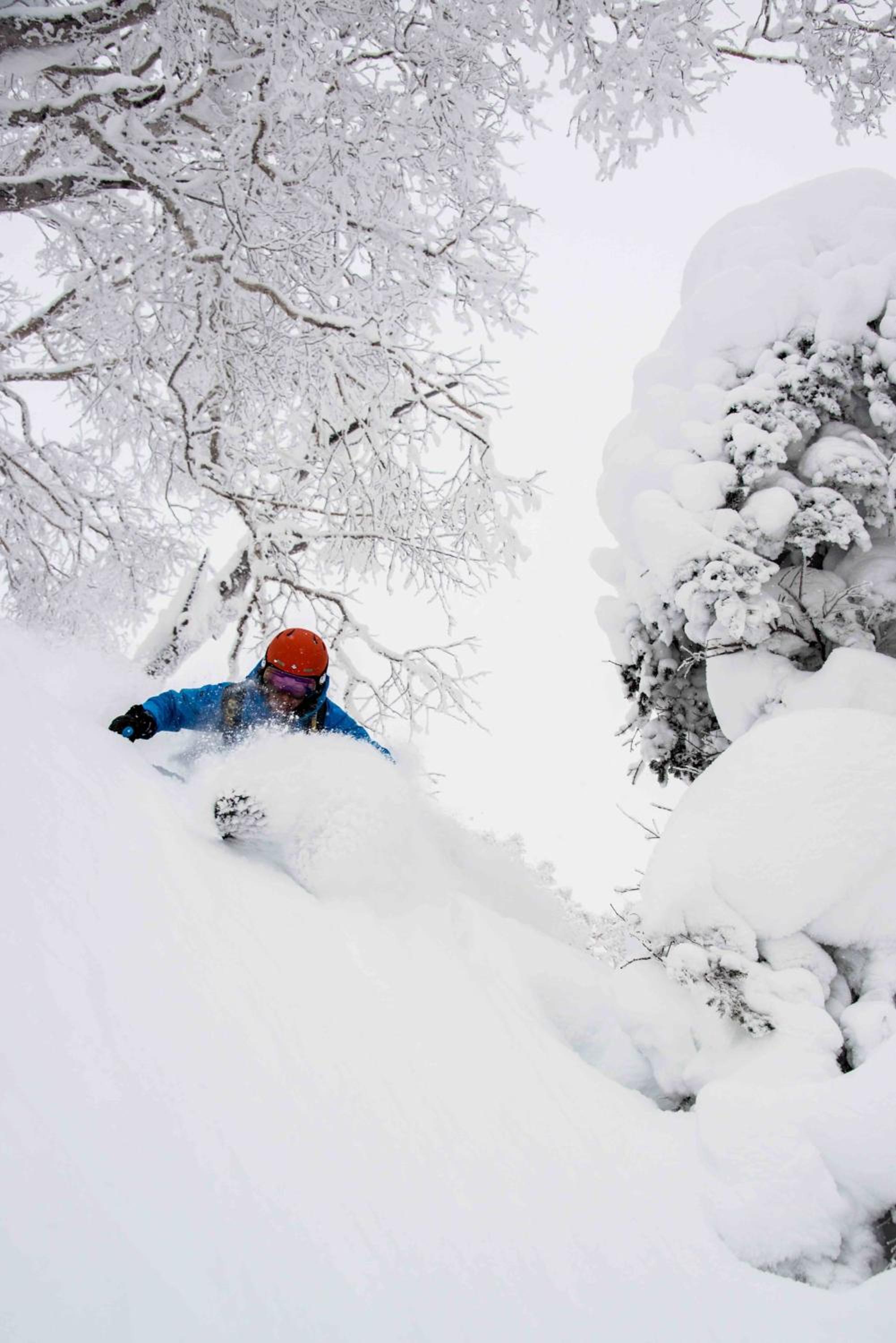 Morino Lodge - Myoko