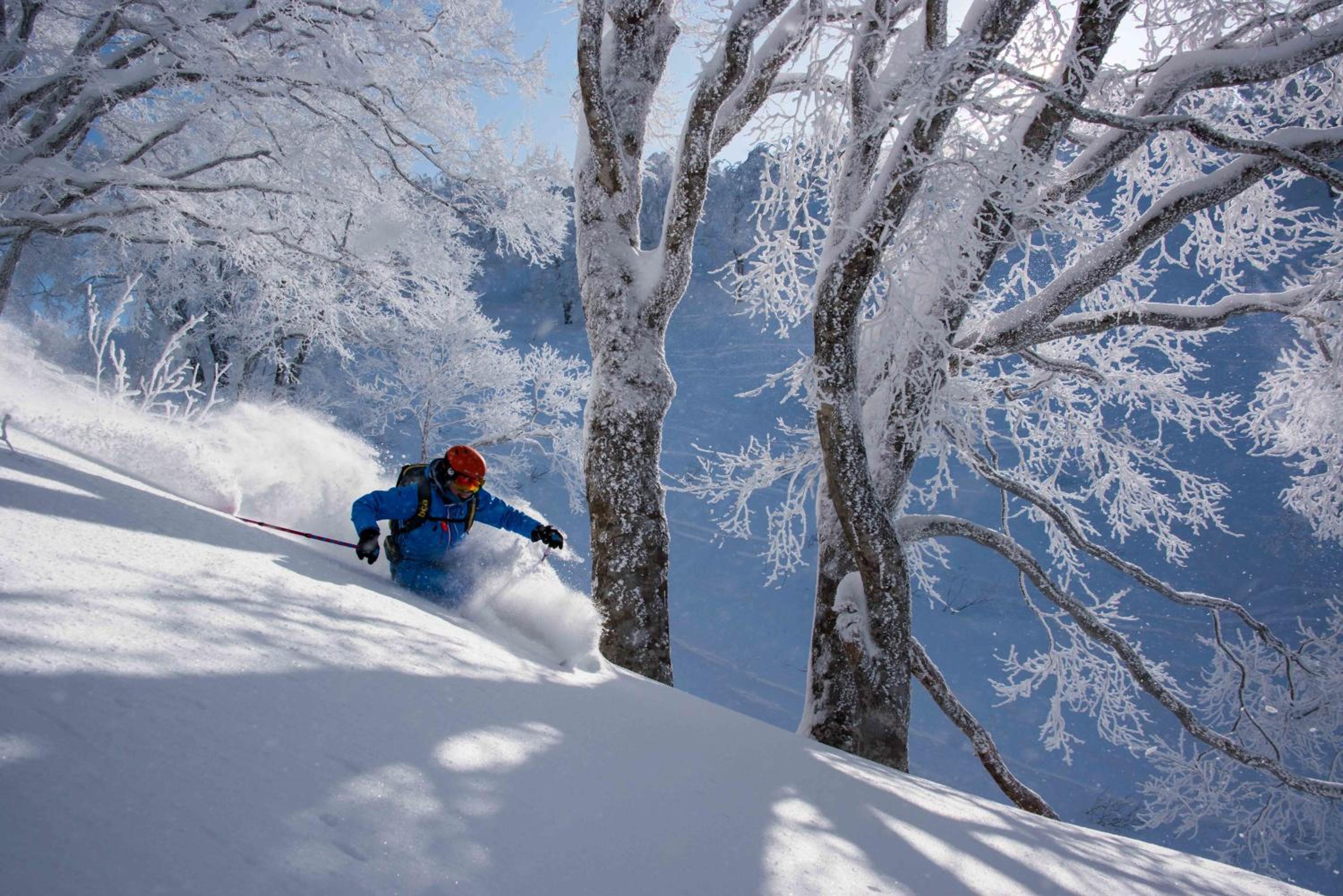 Morino Lodge - Myoko