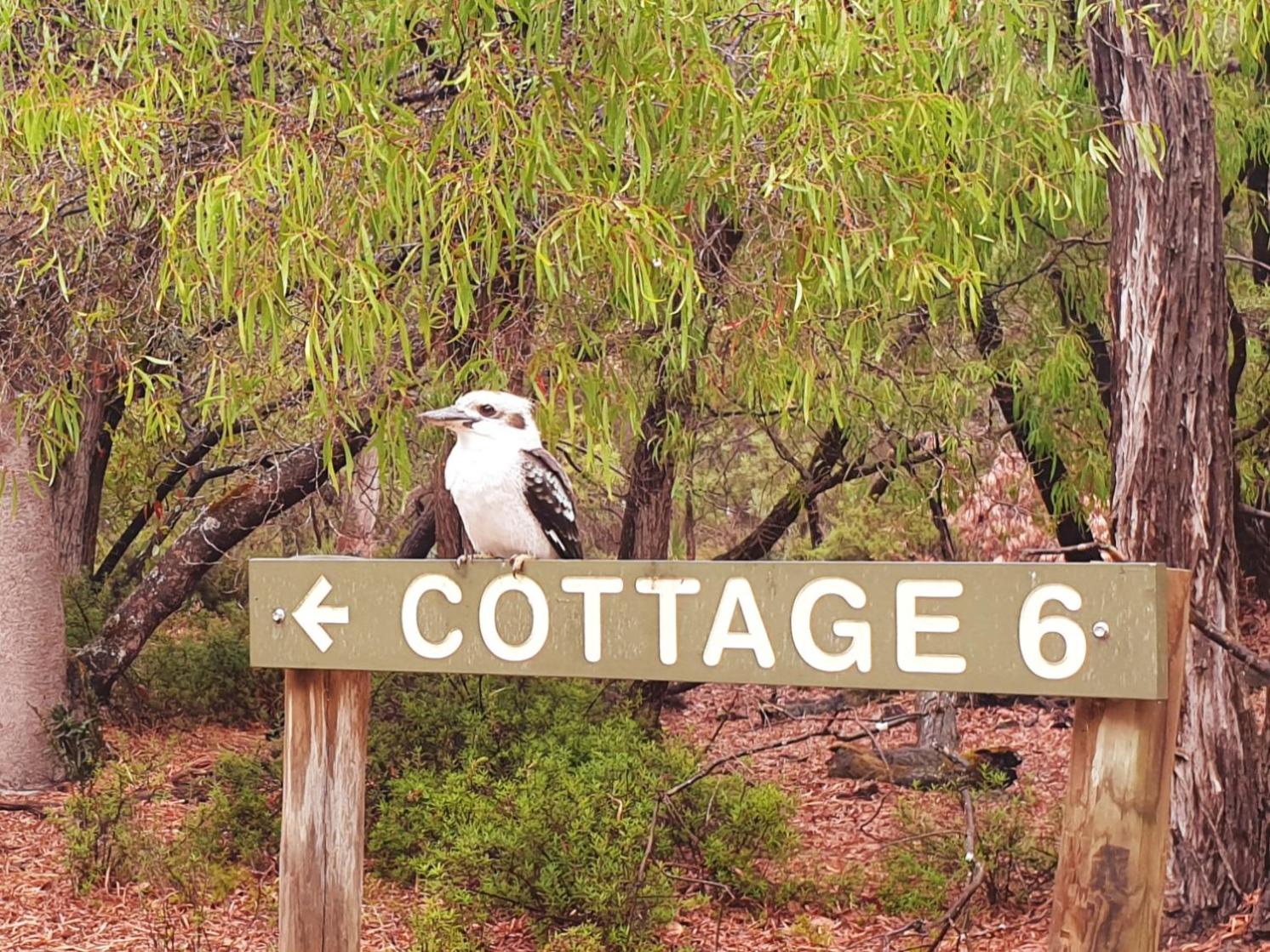 Bussells Bushland Cottages
