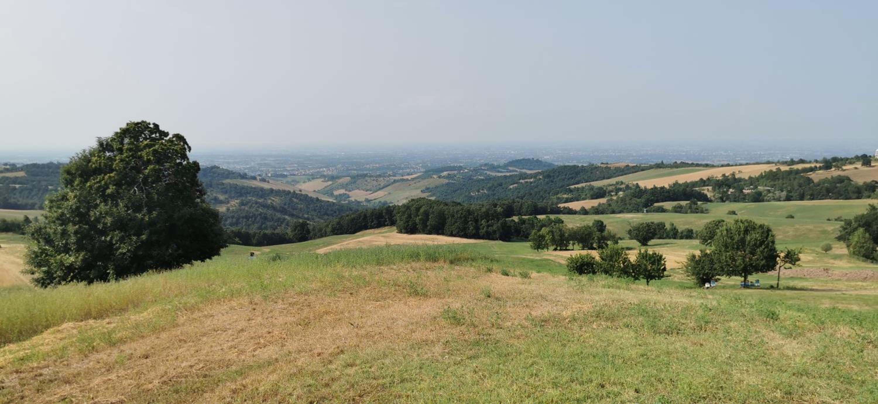 Cerlino's B&B photo 4