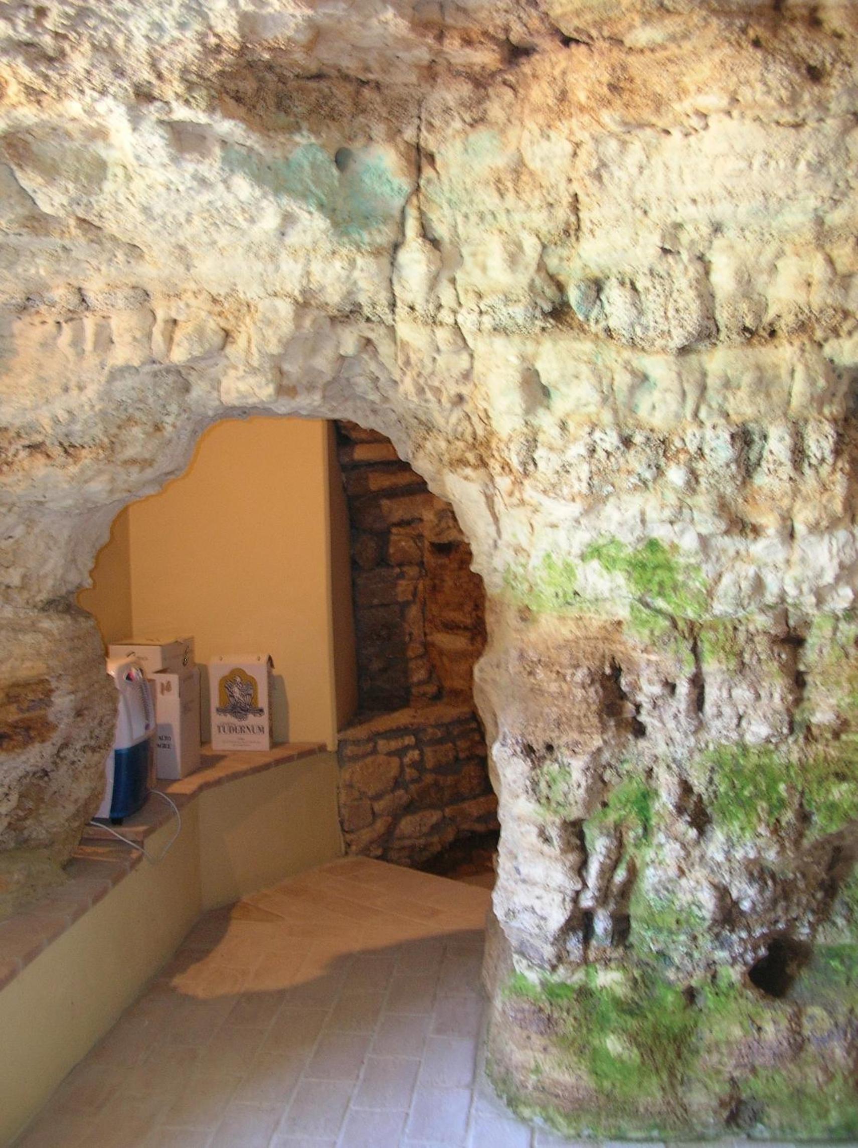 Photo 45