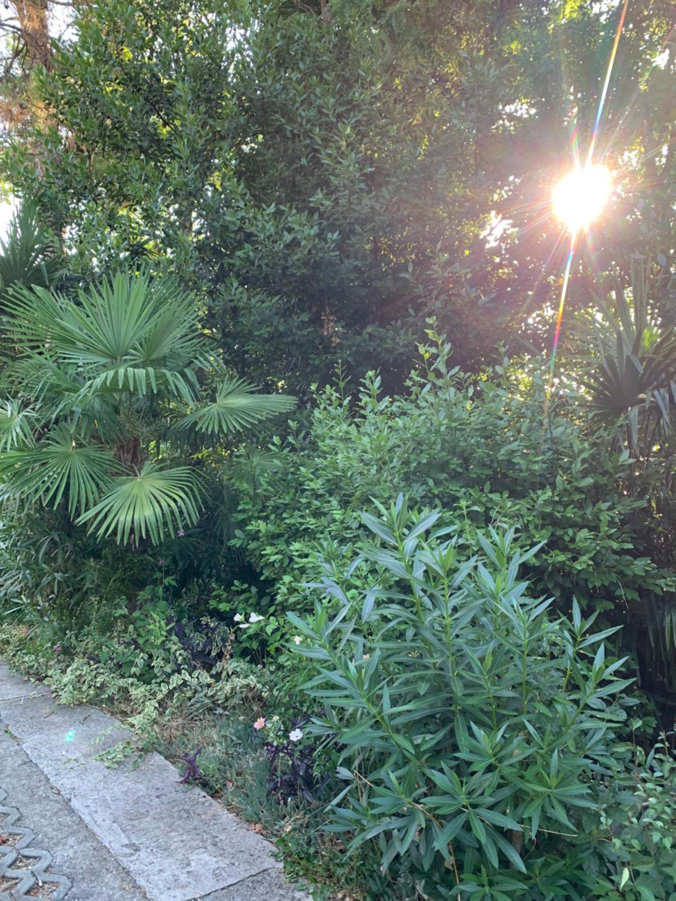 Sheltered green oasis in Opatija view 5