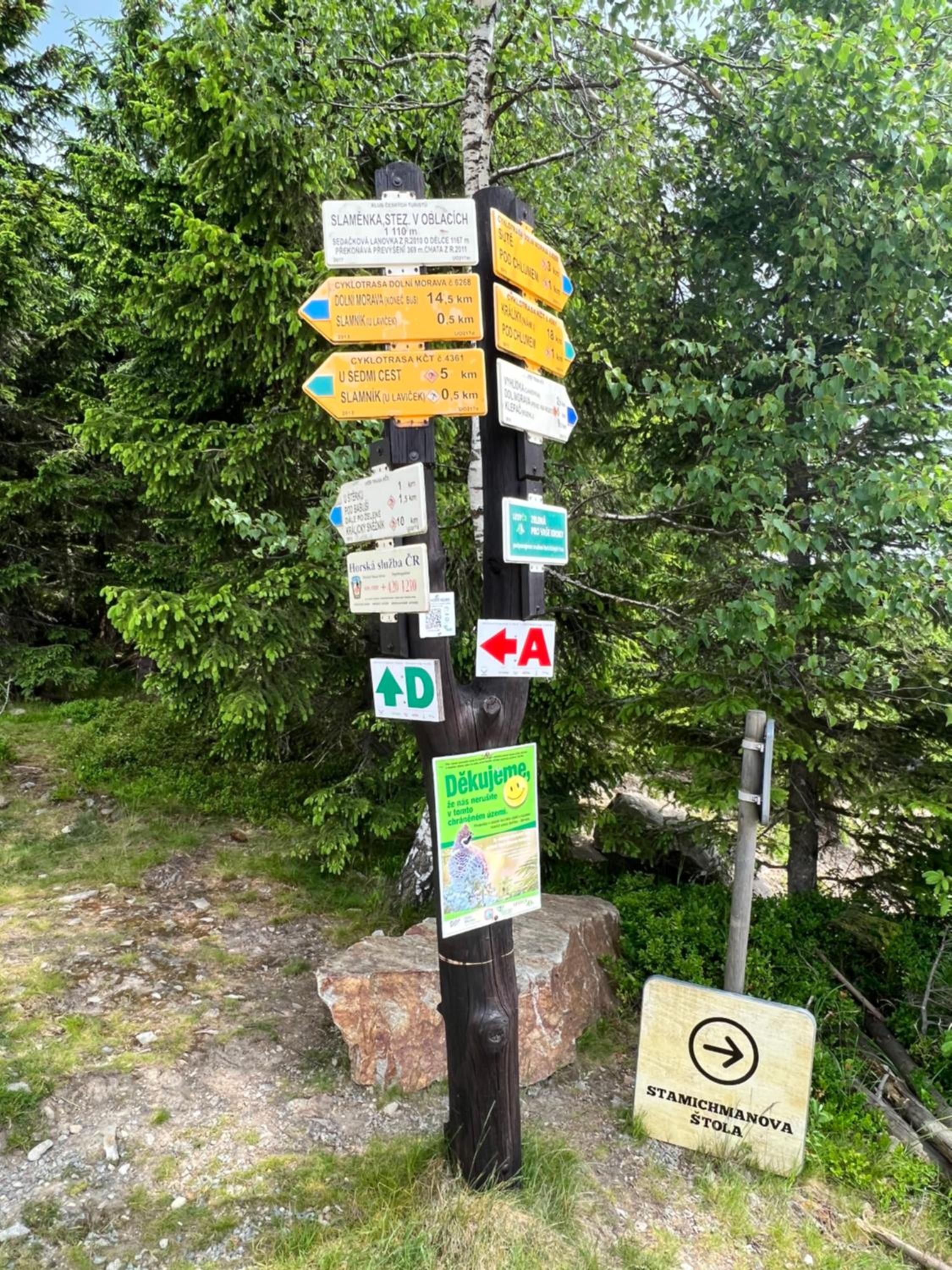 Photo 28