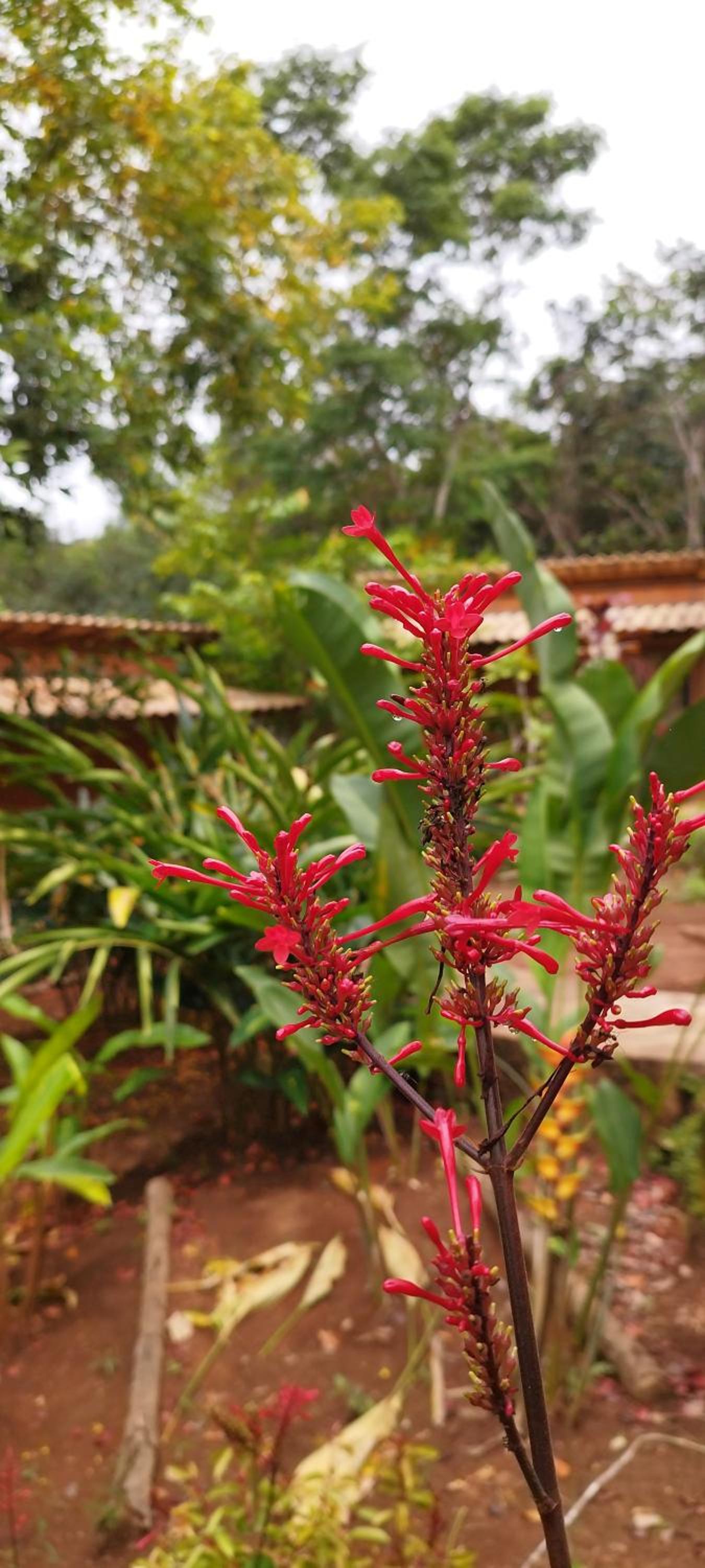 Pousada Luar do Sertão