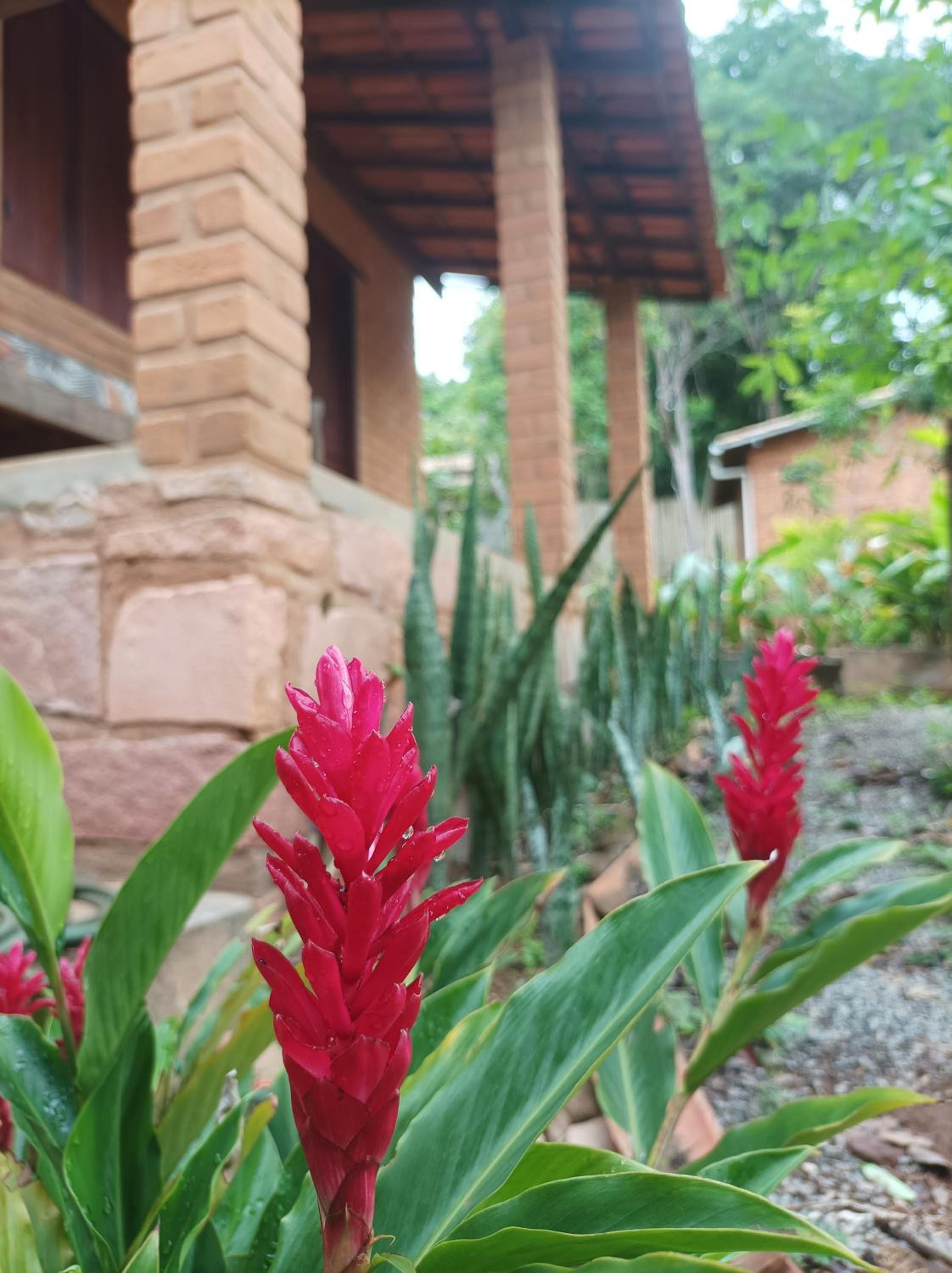 Pousada Luar do Sertão