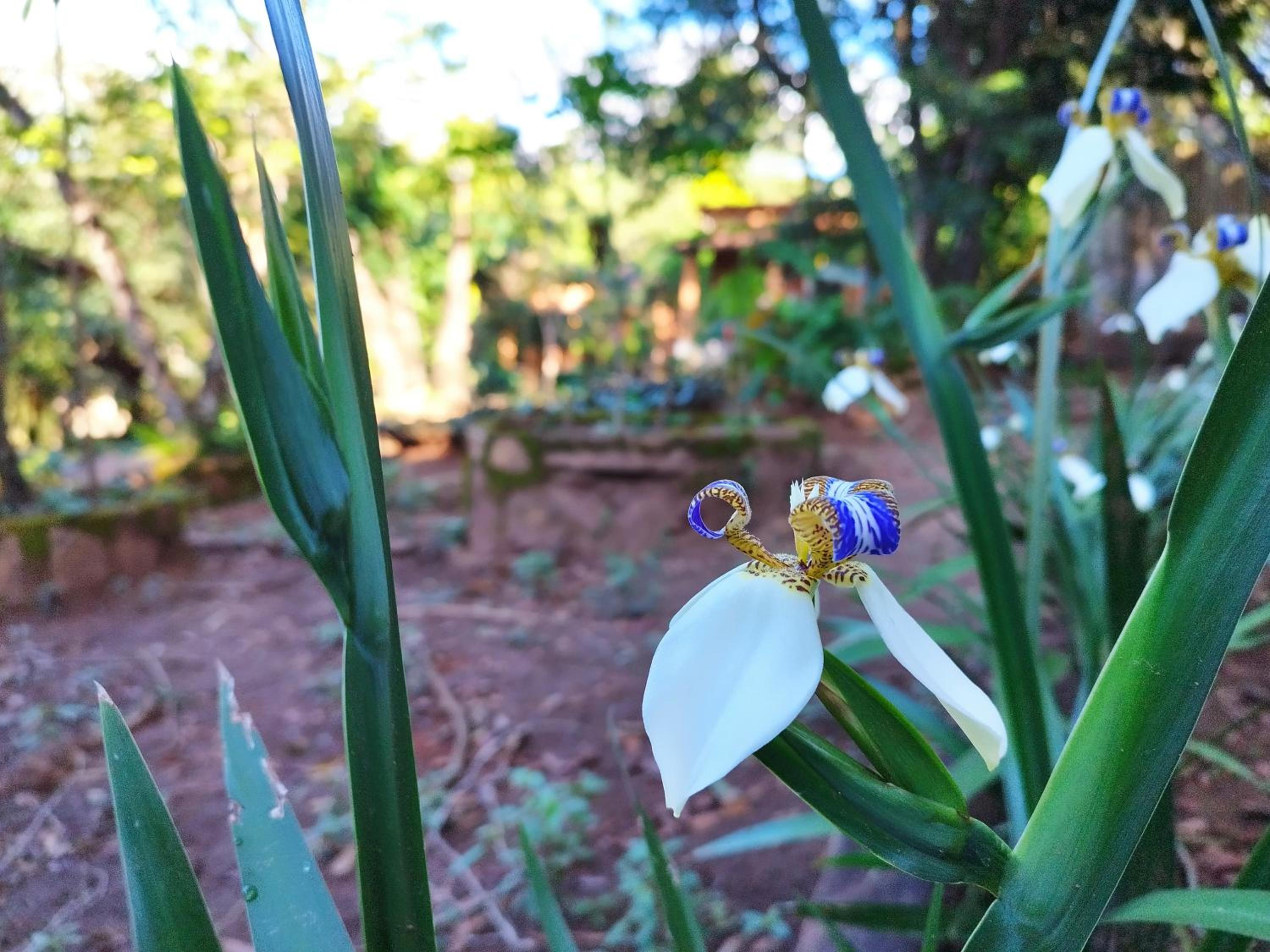Pousada Luar do Sertão