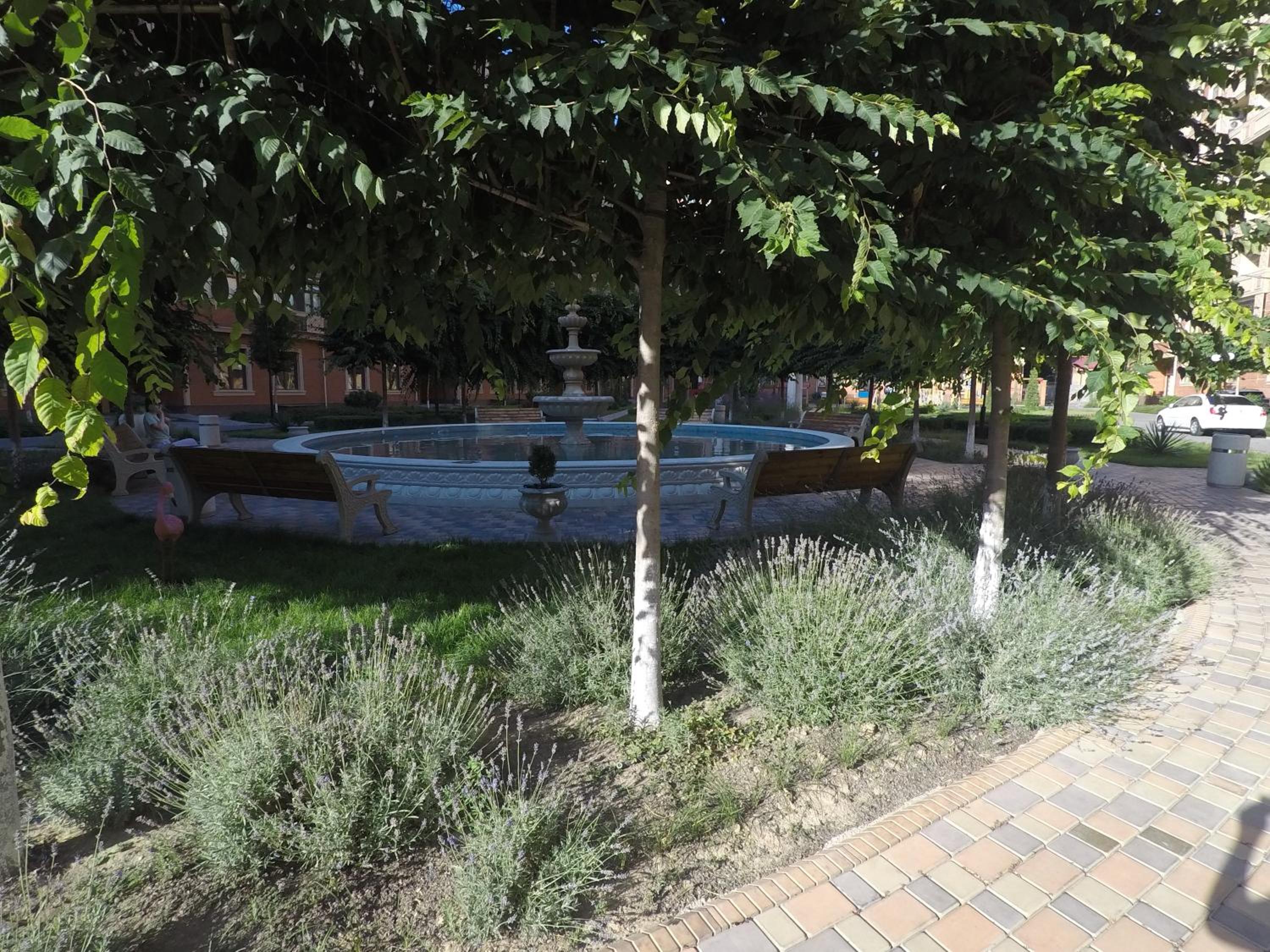 Photo 7