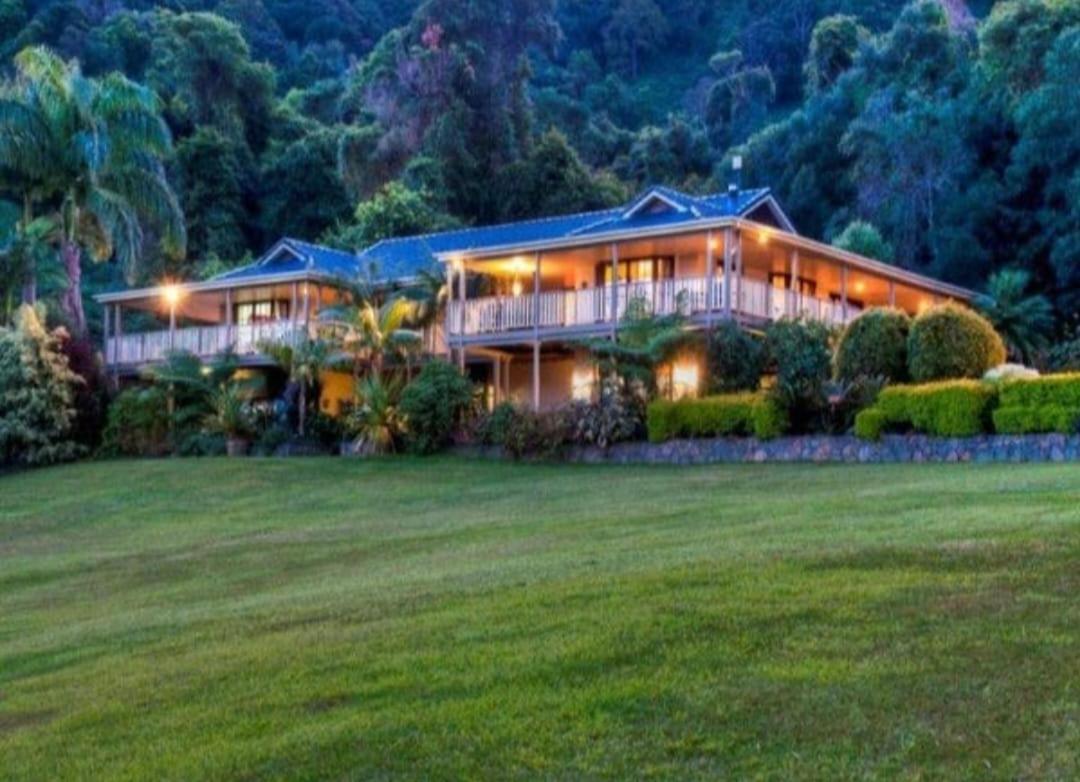The Golden Whistler Montville
