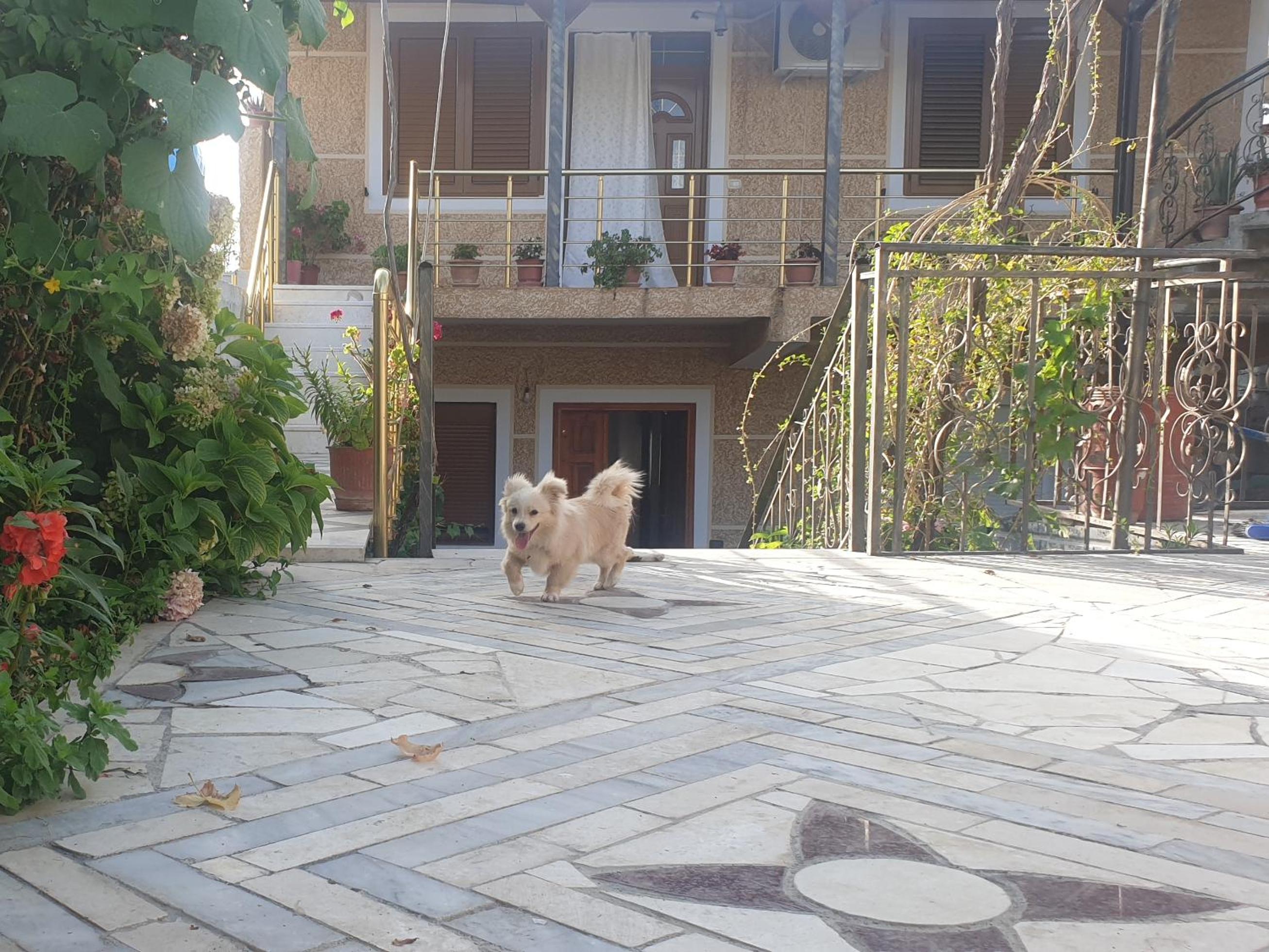 Hills Villa