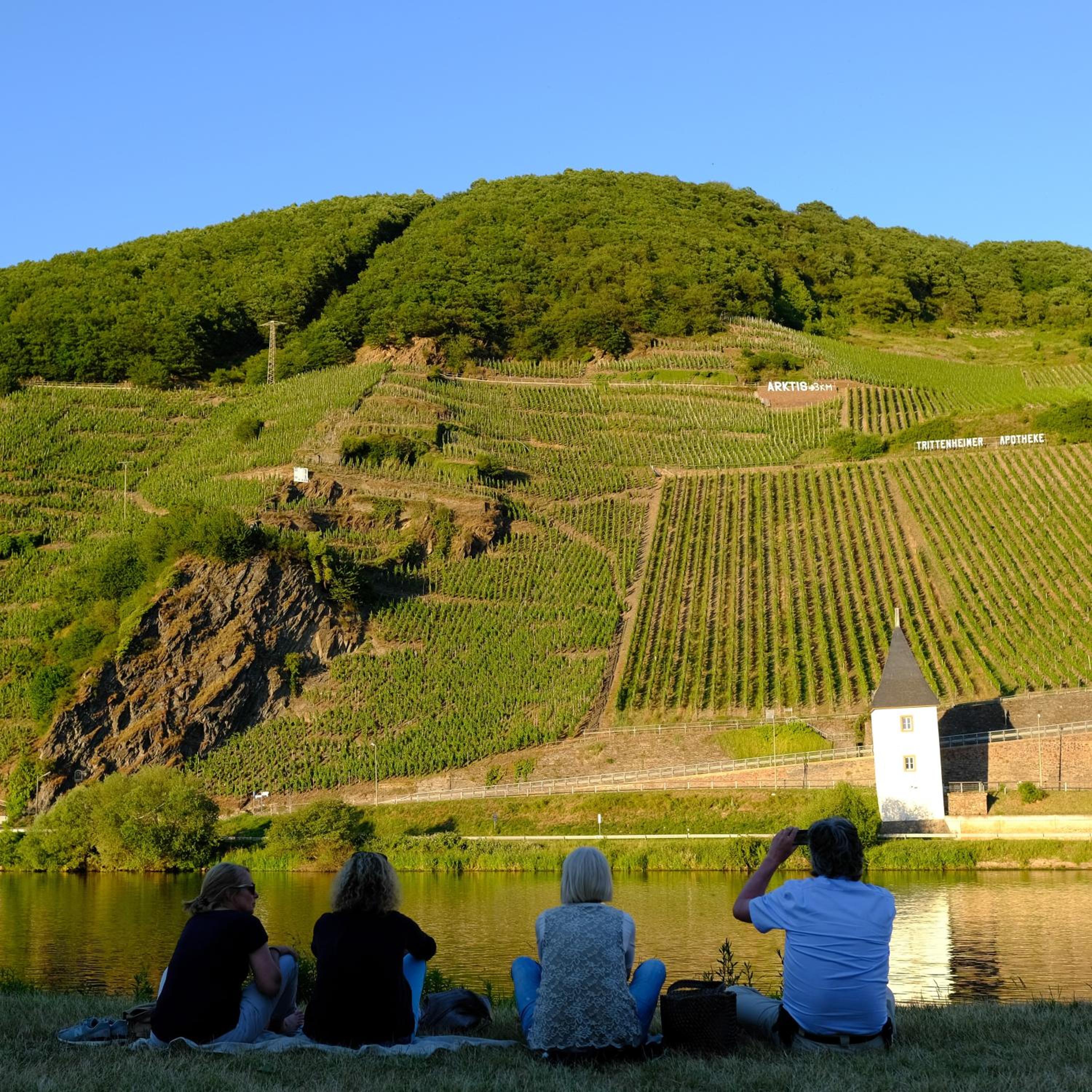 Gästehaus & Weingut Clüsserath-Weiler view 3