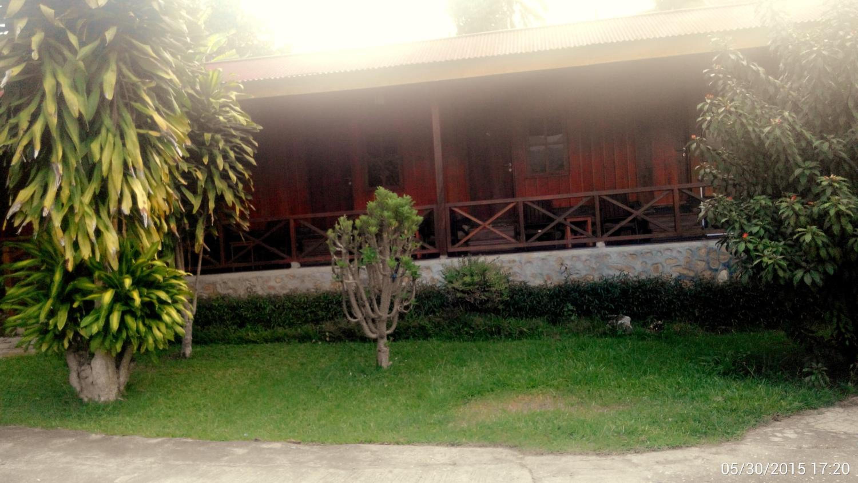 Photo 12