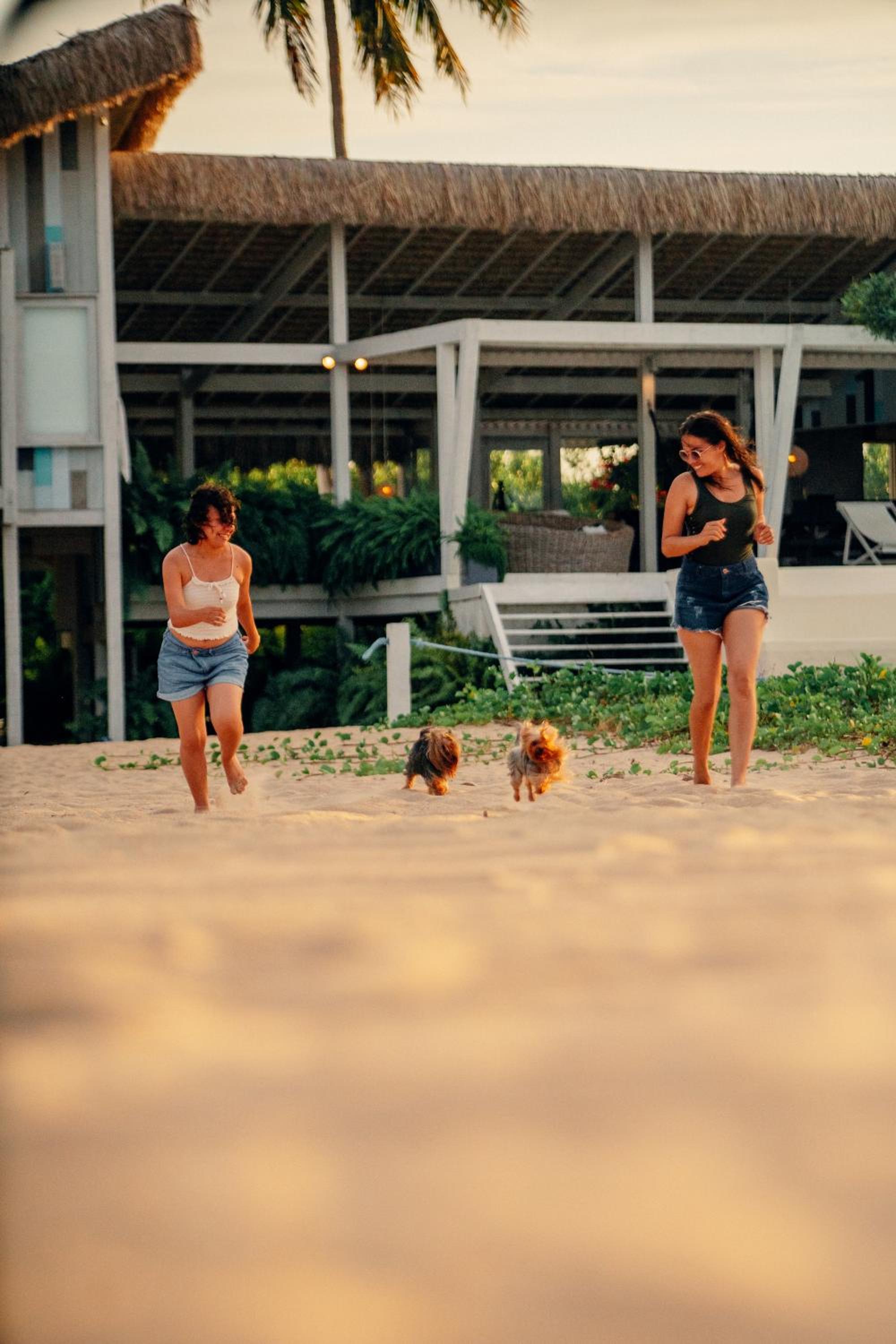 Beach Houses Moitas