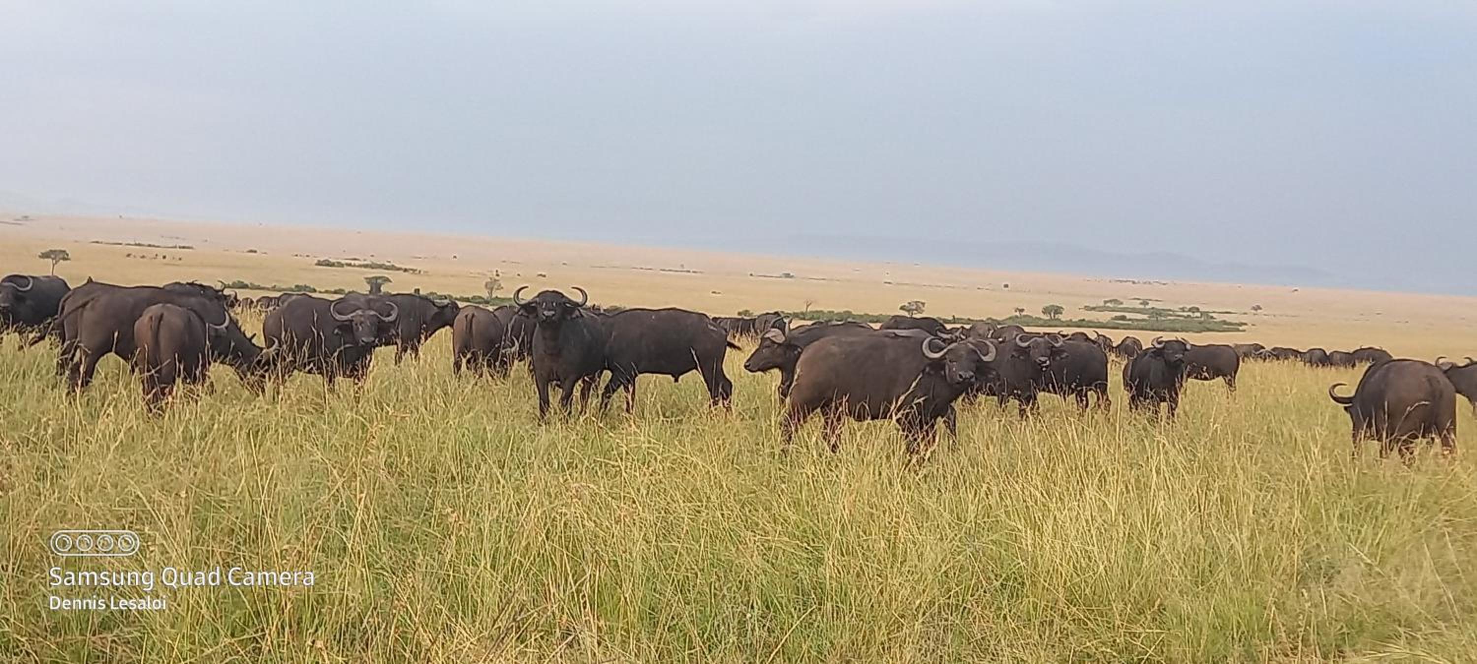 Orboma Masai home view 4