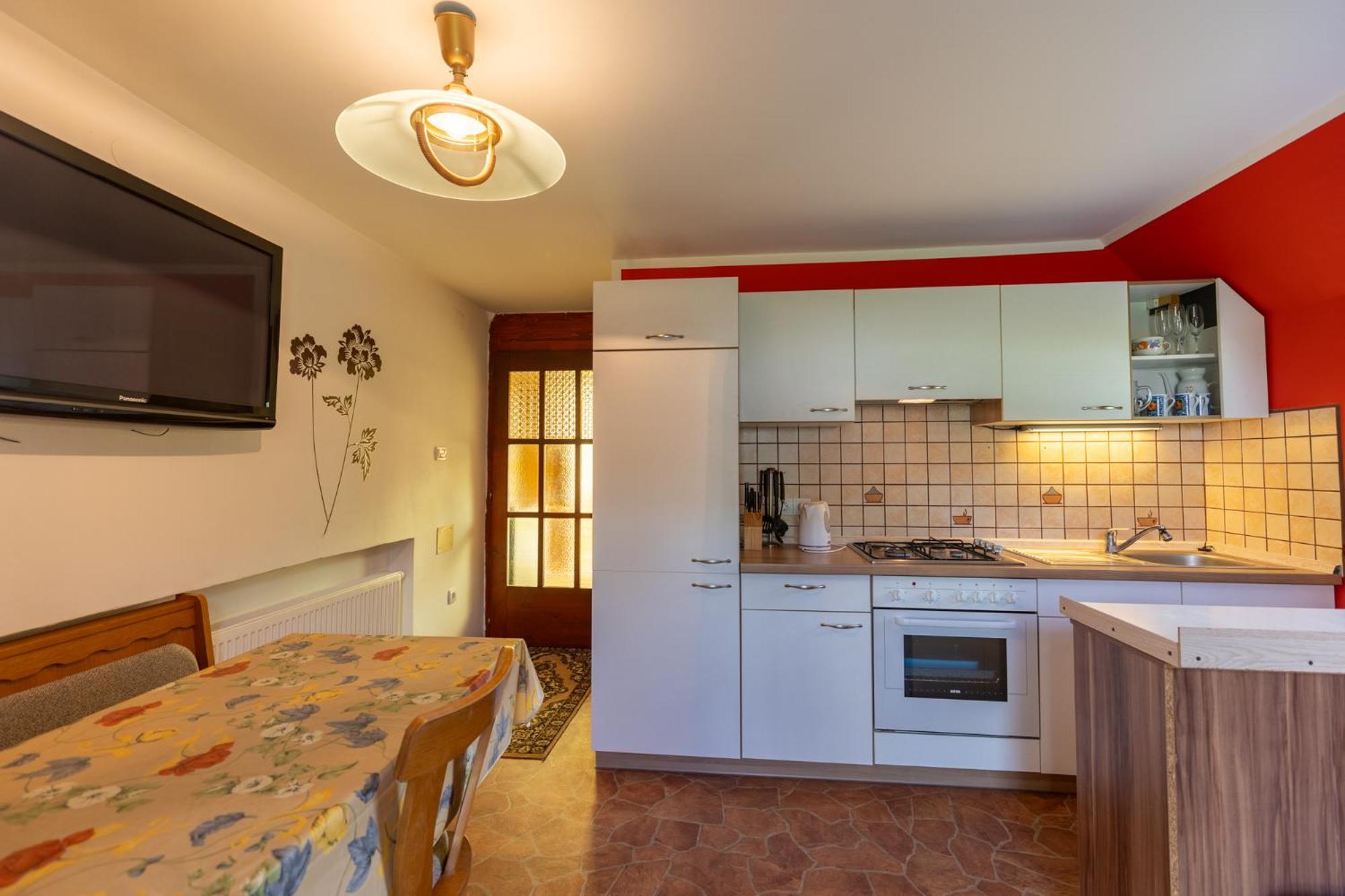 Apartments Darinka Mencinger view 4