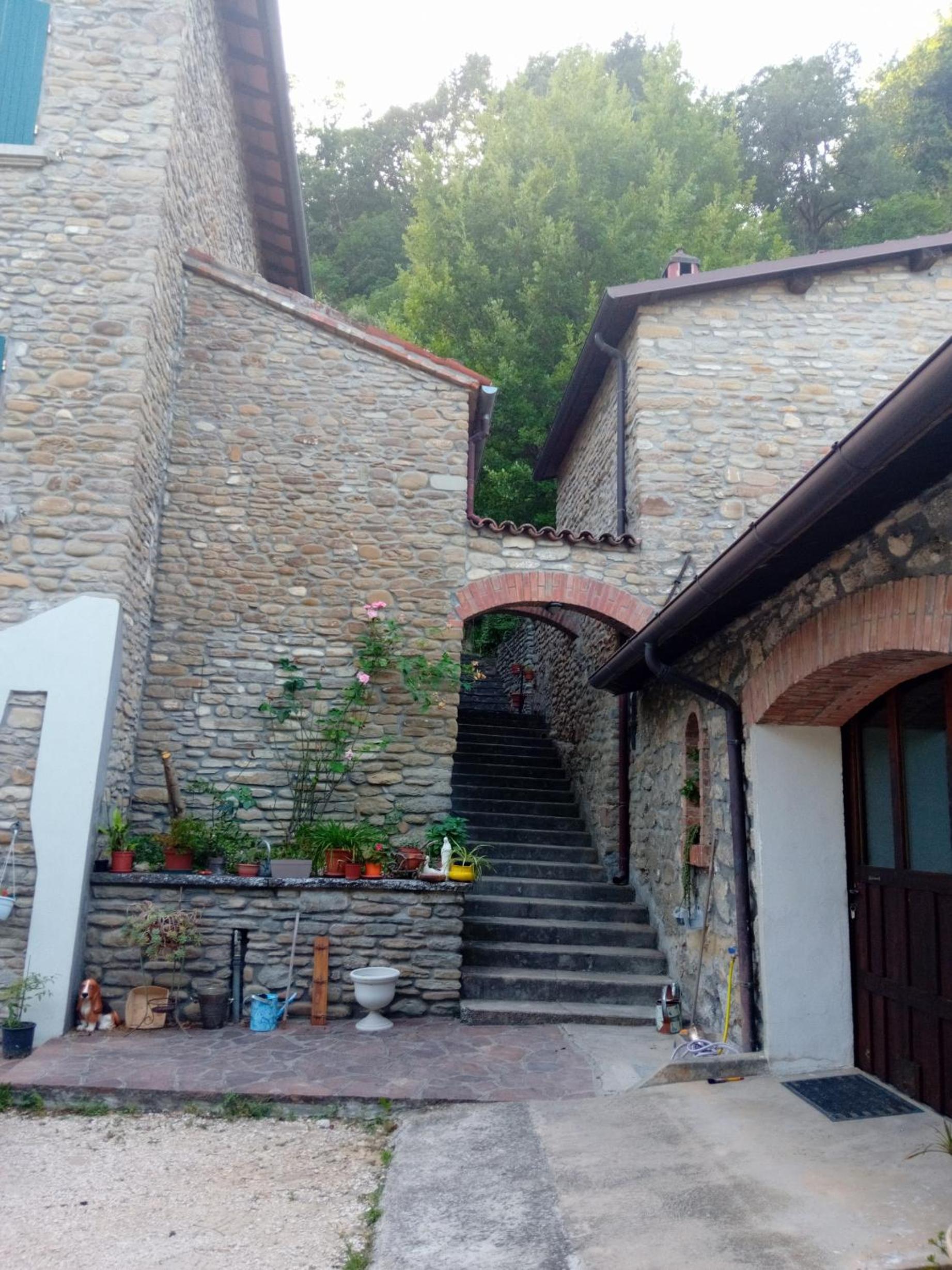 B&B BORGORI' view 3