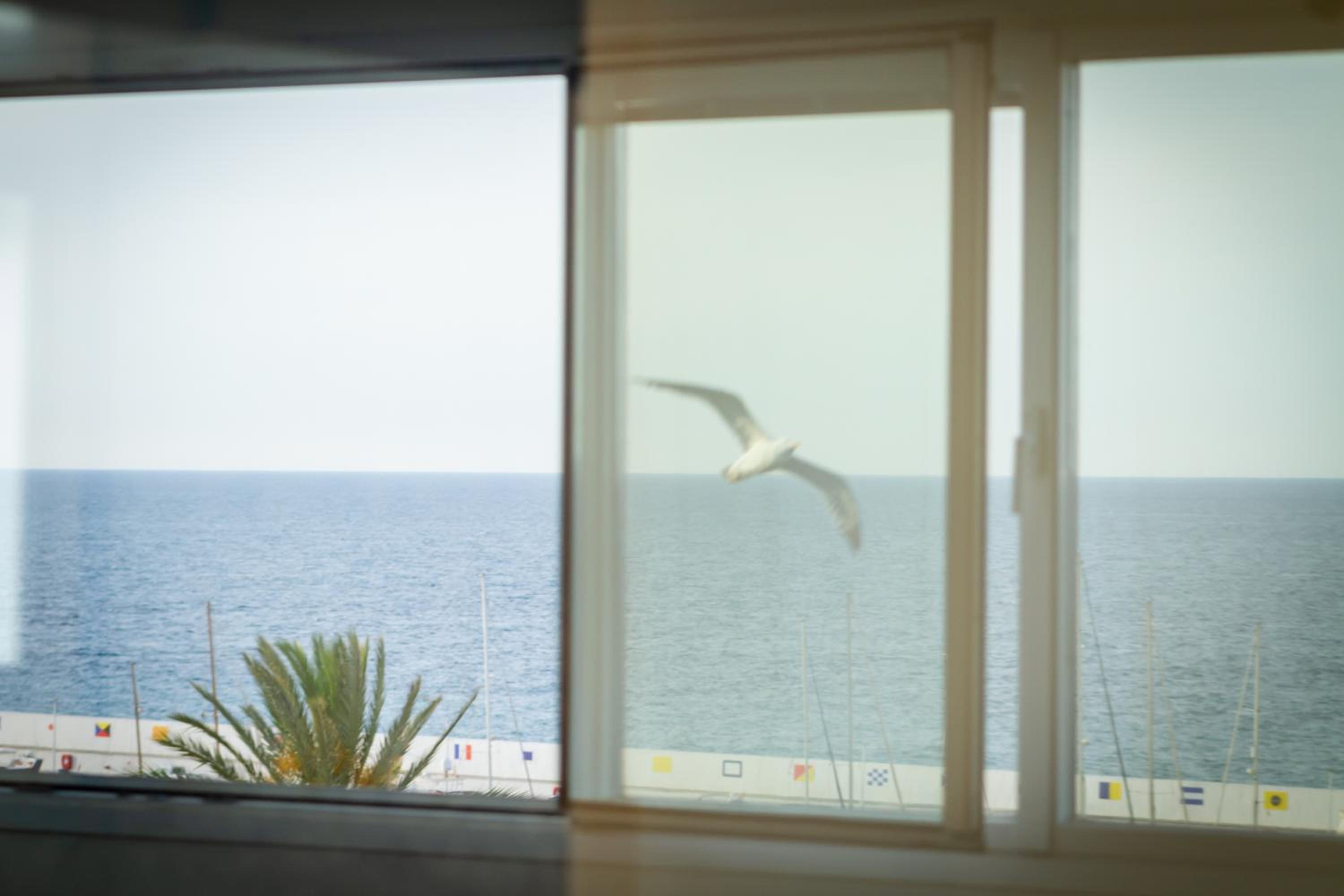 Marbella Vacations - MARBELLA BANUS SUITES - Marbella Marysol Beachfront Apartment I - Property Image 51