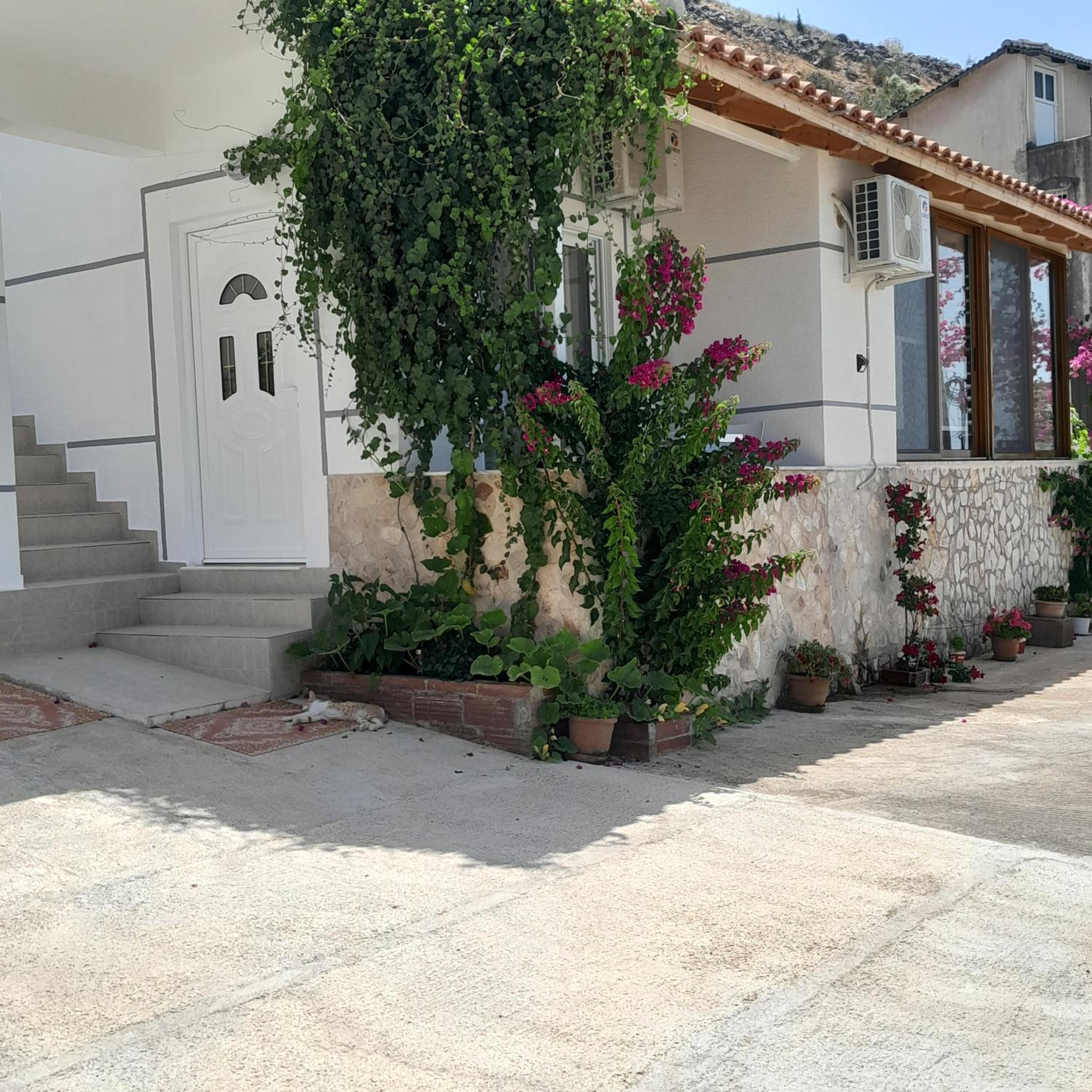 Luxury Dennis Home