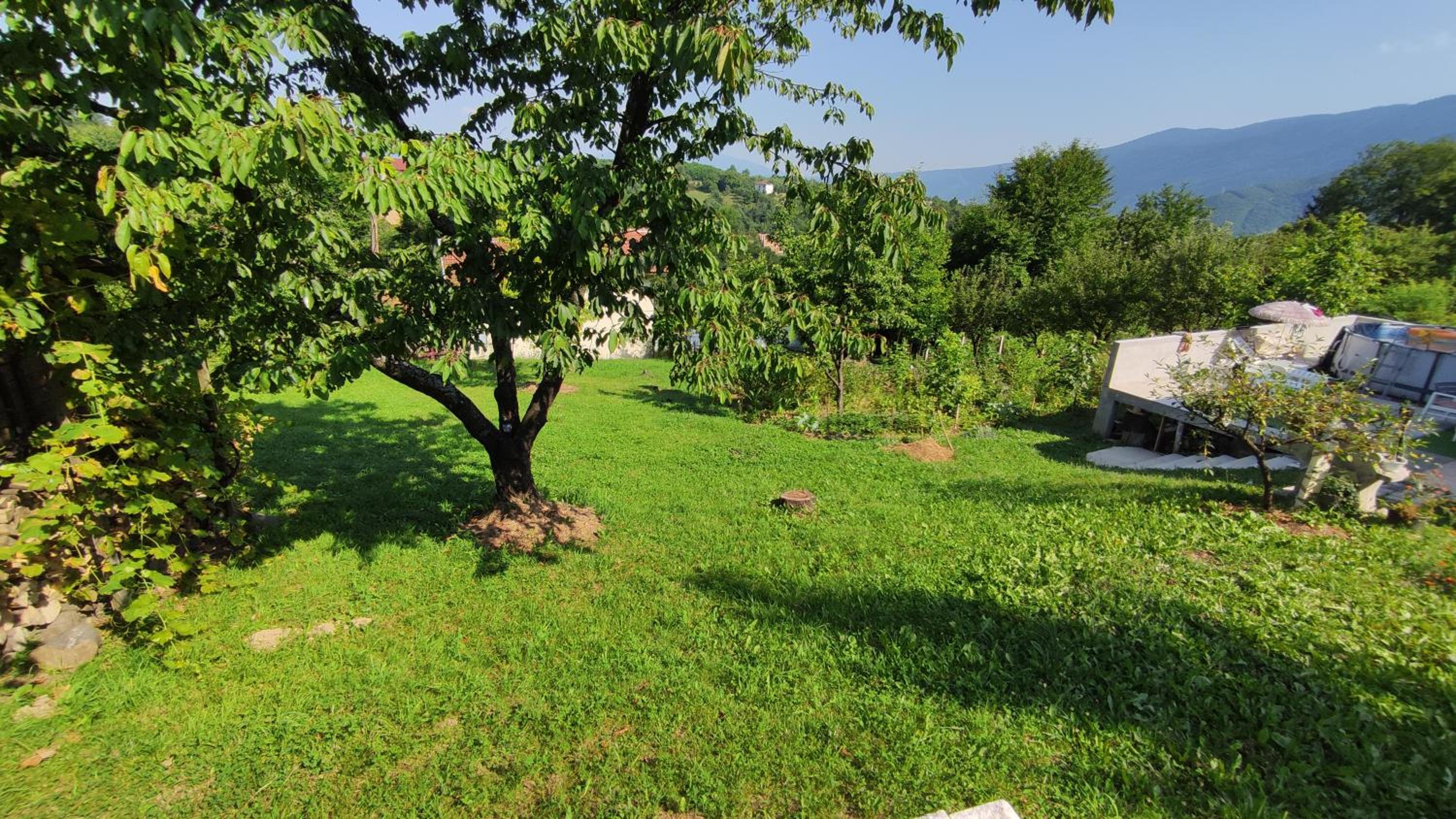 Curovac Nature