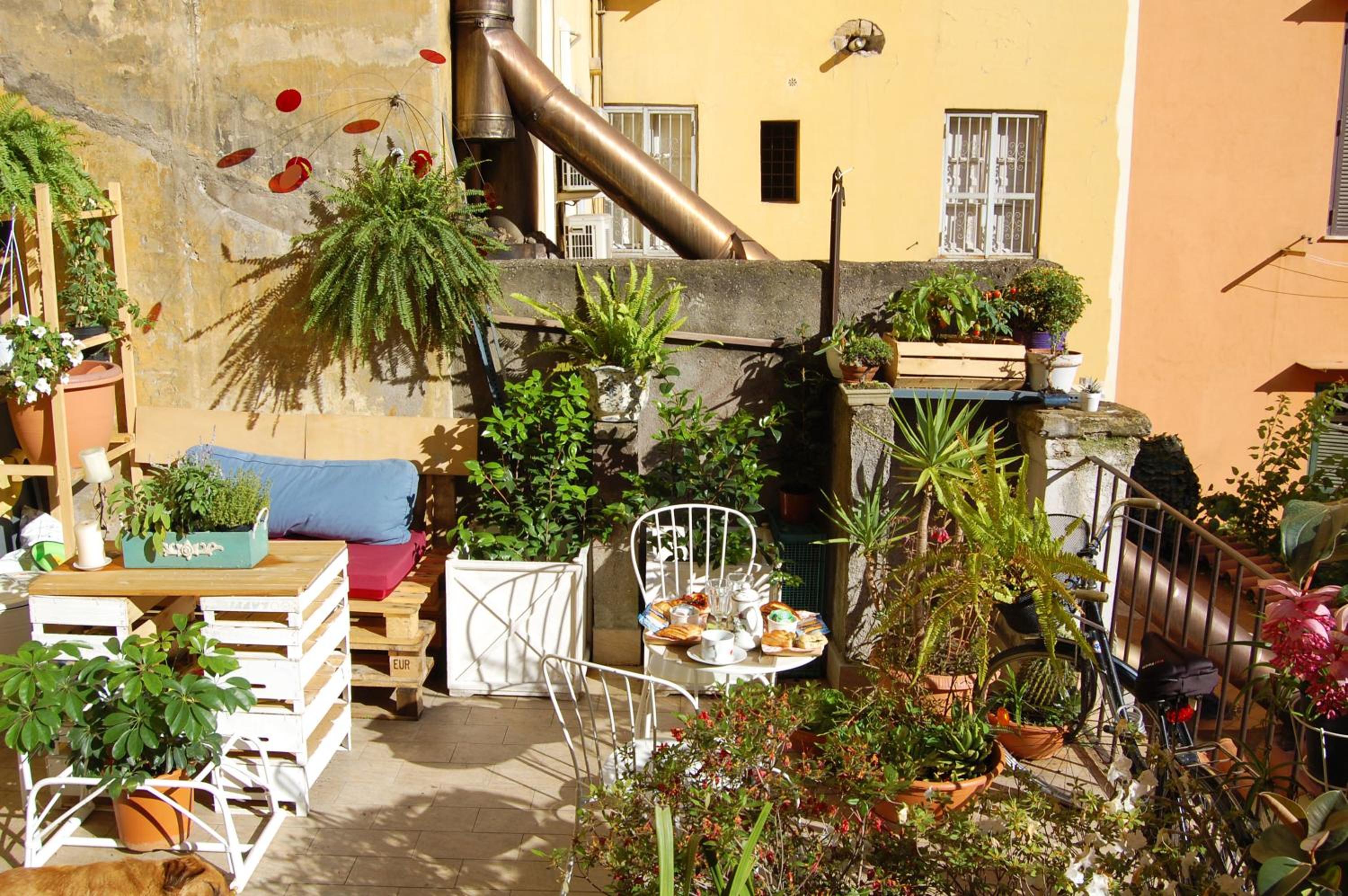 balance & terrace