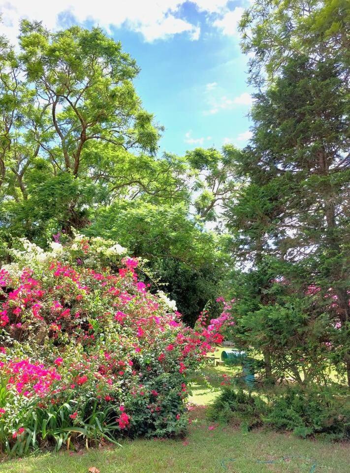 Starry Rose Guest Farm