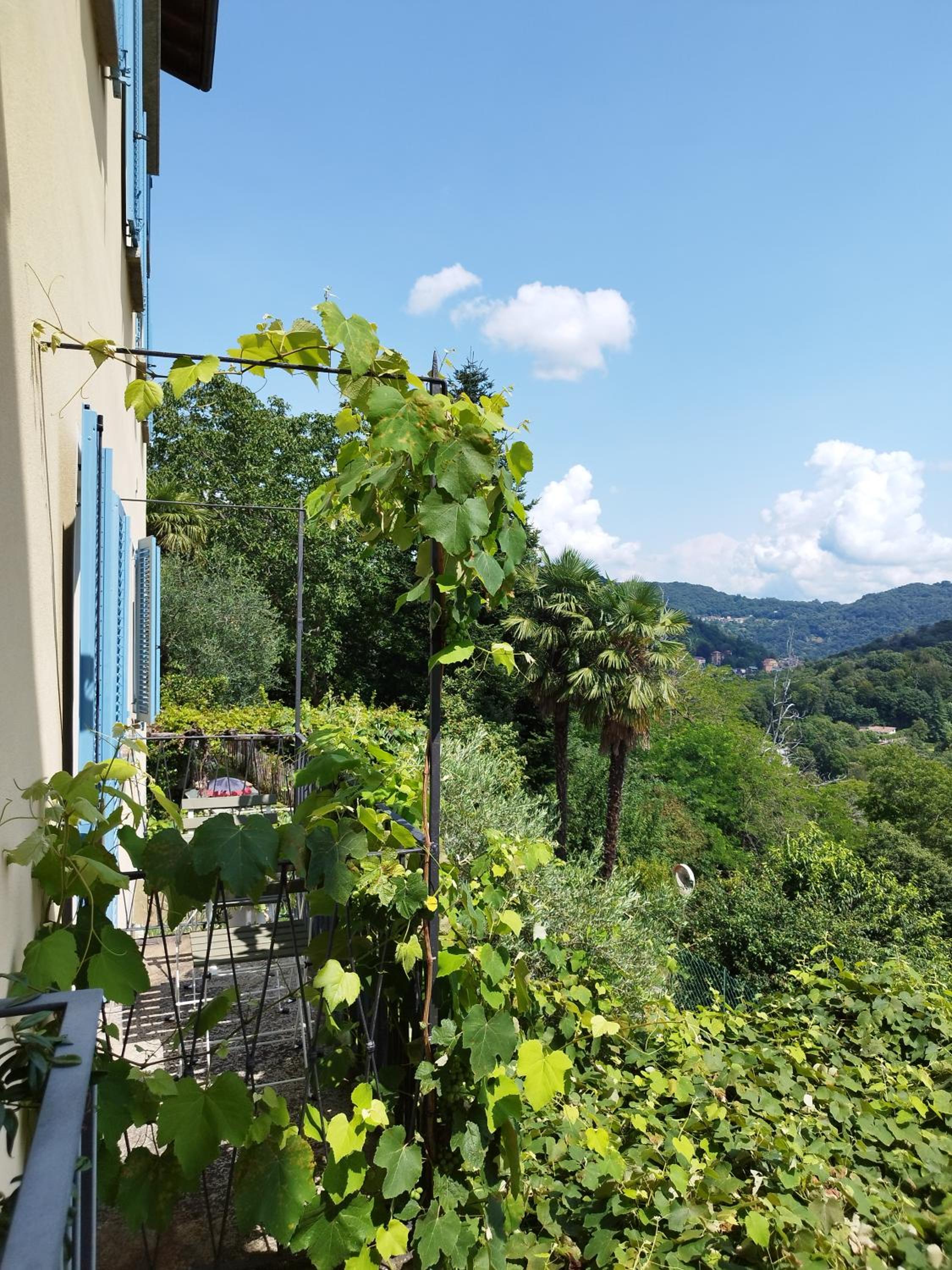 casa pungitopo