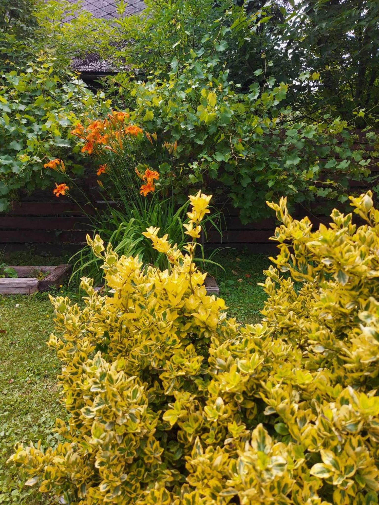 Photo 27
