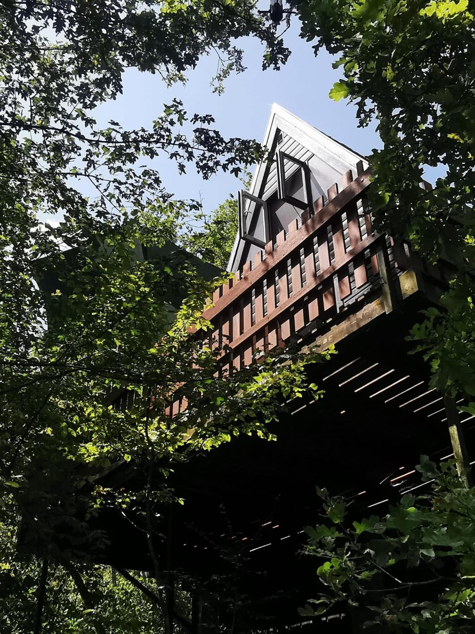 Chalet Het Bosnestje Durbuy