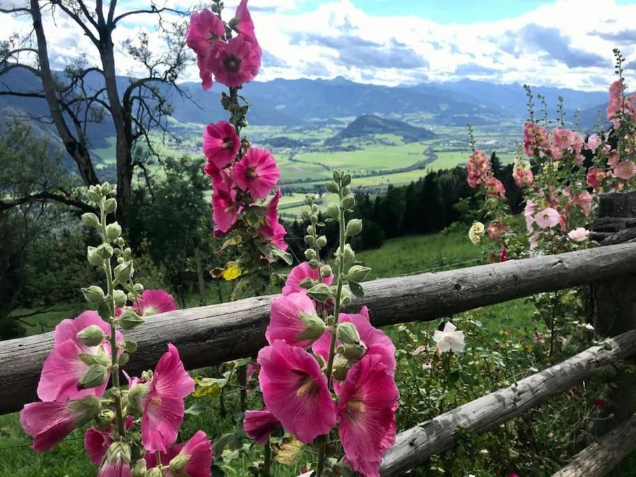 Haus Grimmingblick