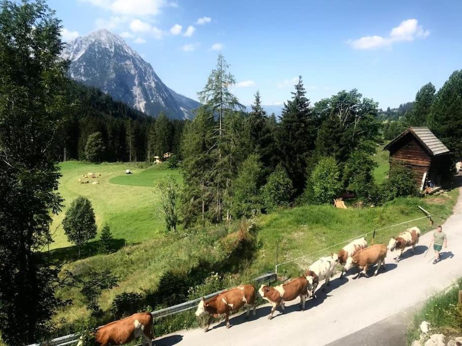 Haus Grimmingblick