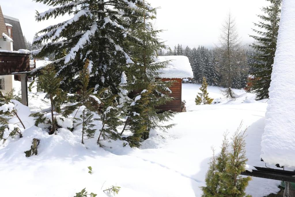 Haus Grimmingblick
