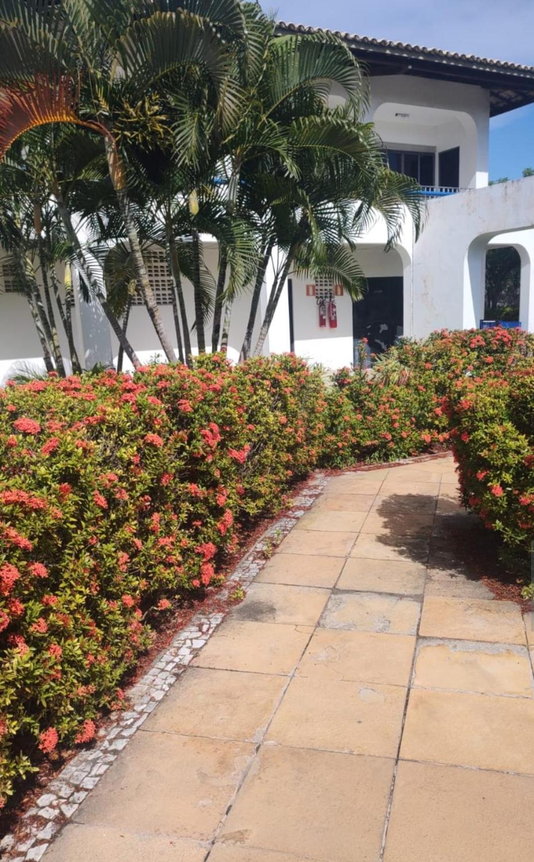 Guarajuba Summer Flat 14
