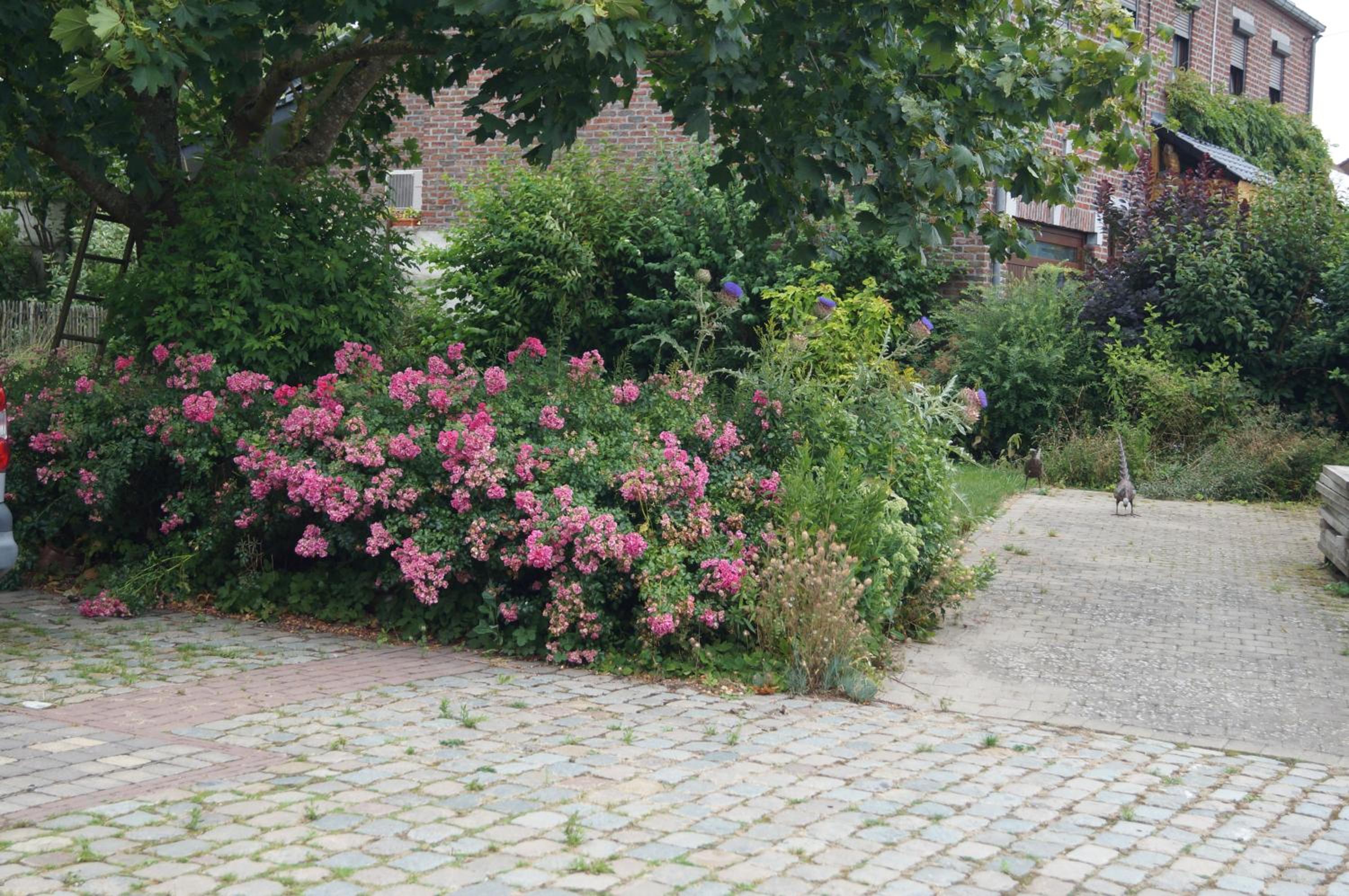 La Petite Maison