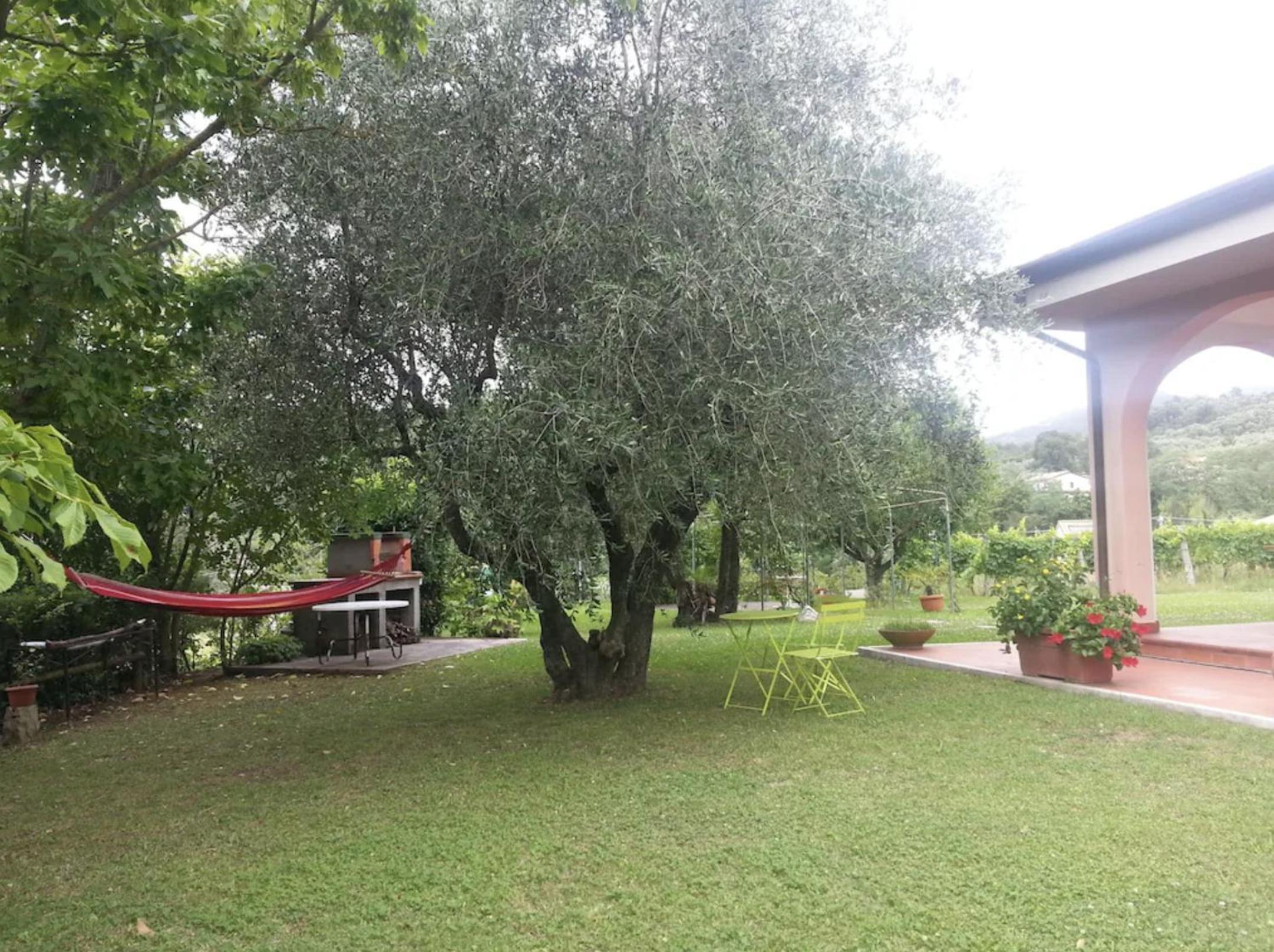 Photo 23