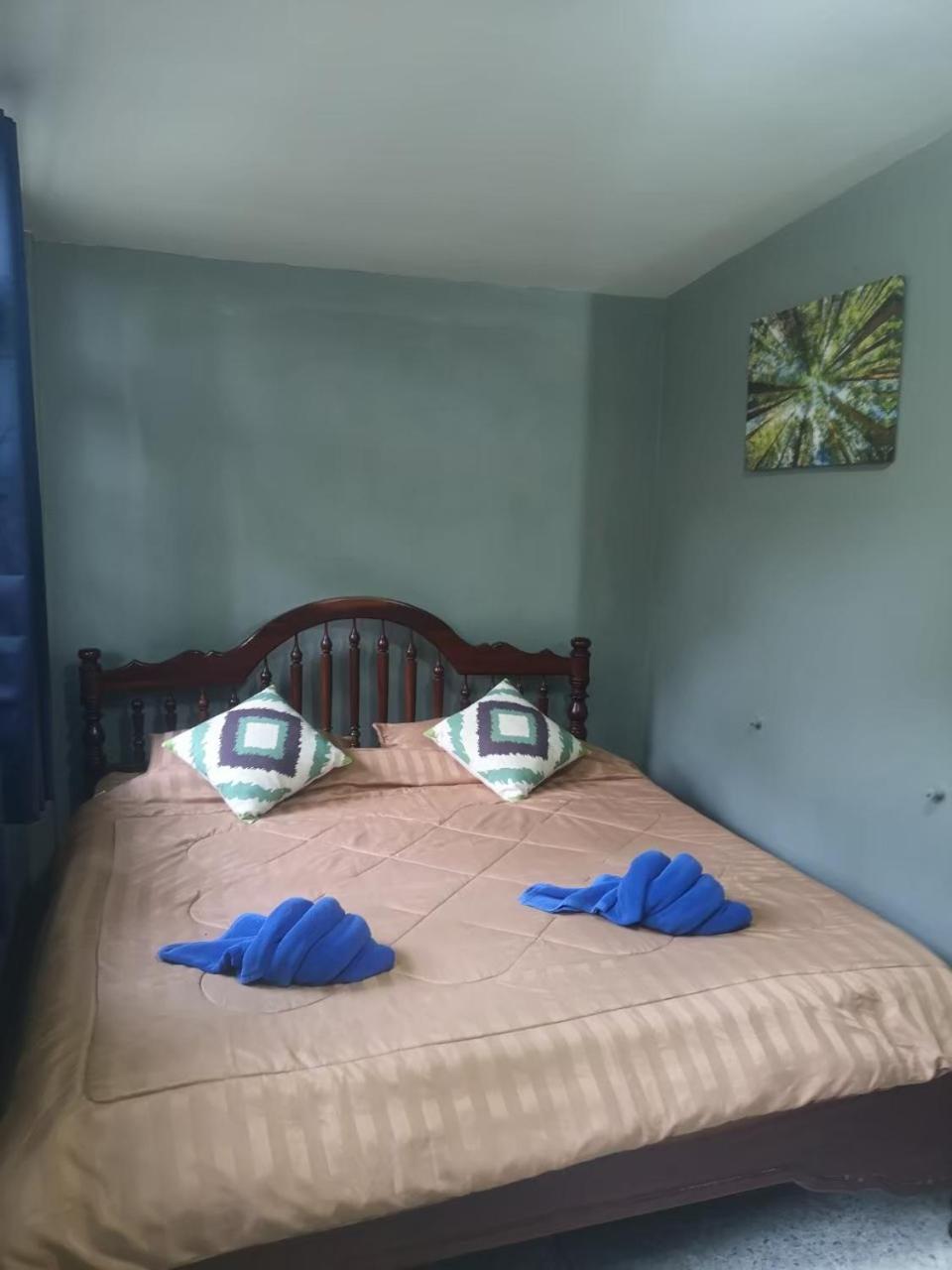 Photo 42