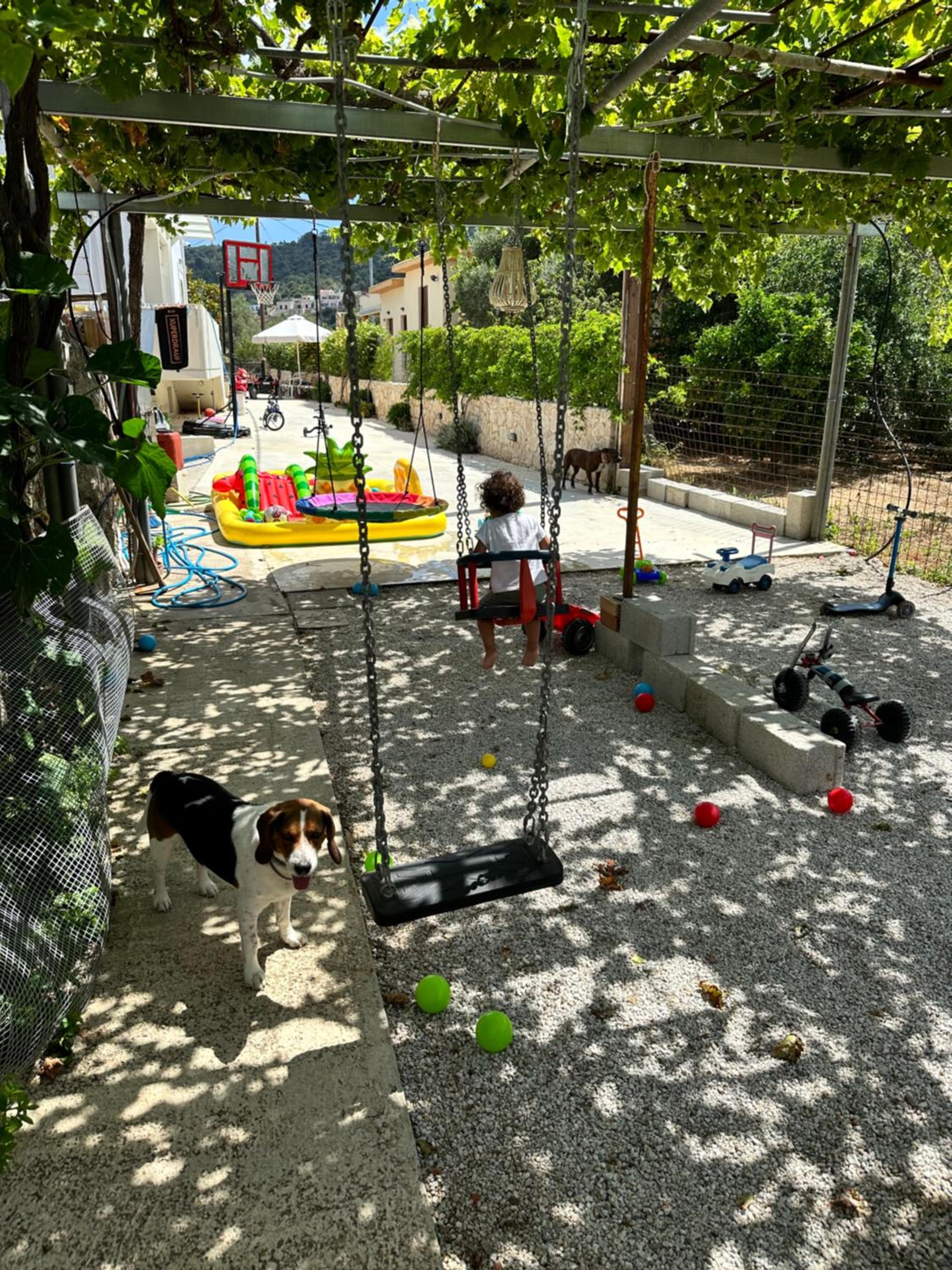 Photo 14