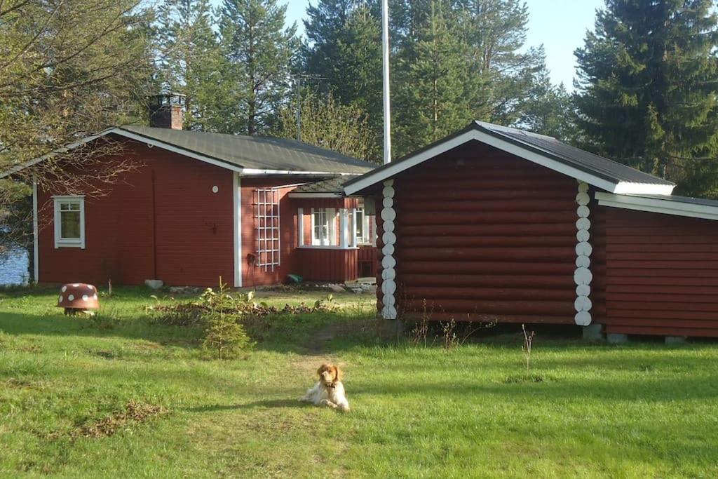 Lysti Cottage by the lake and magical countryside