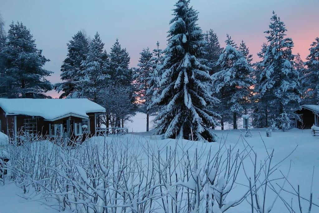 Lysti Cottage by the lake and magical countryside