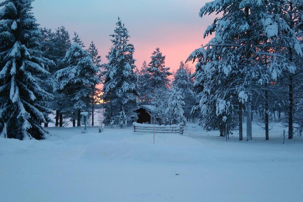 Lysti Cottage by the lake and magical countryside