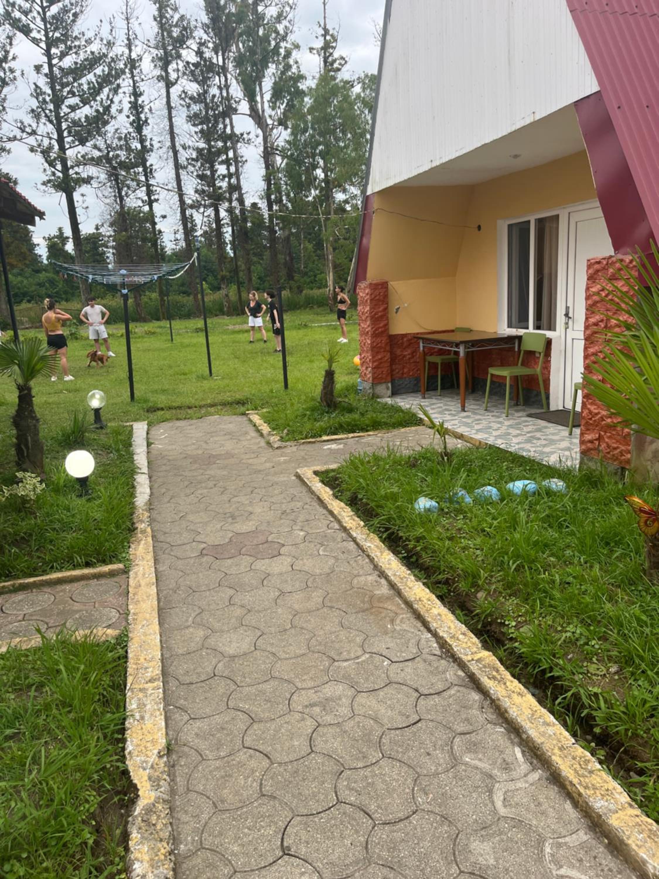 Photo 7